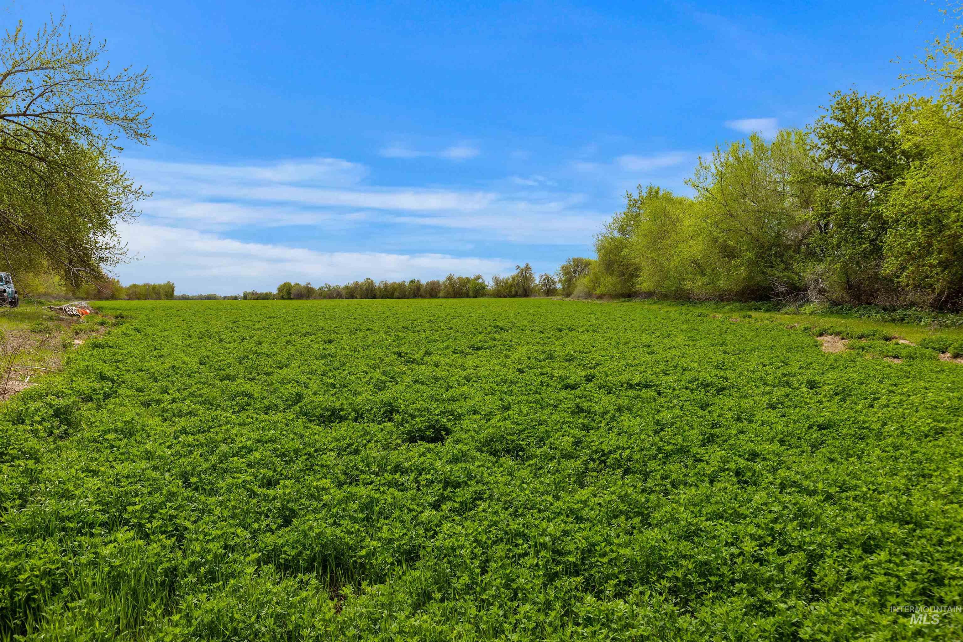 10651 N River Rd Property Photo 17