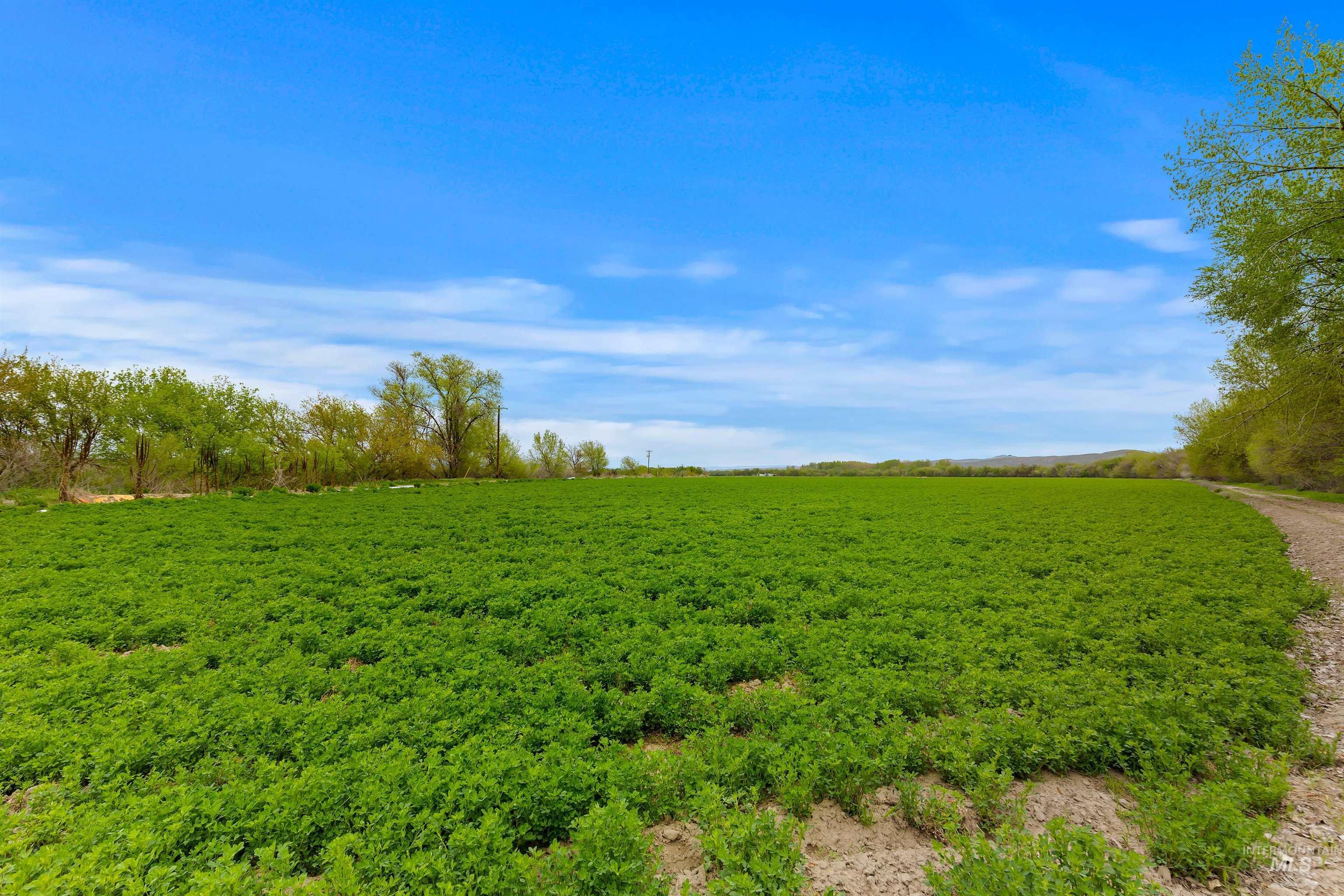 10651 N River Rd Property Photo 22
