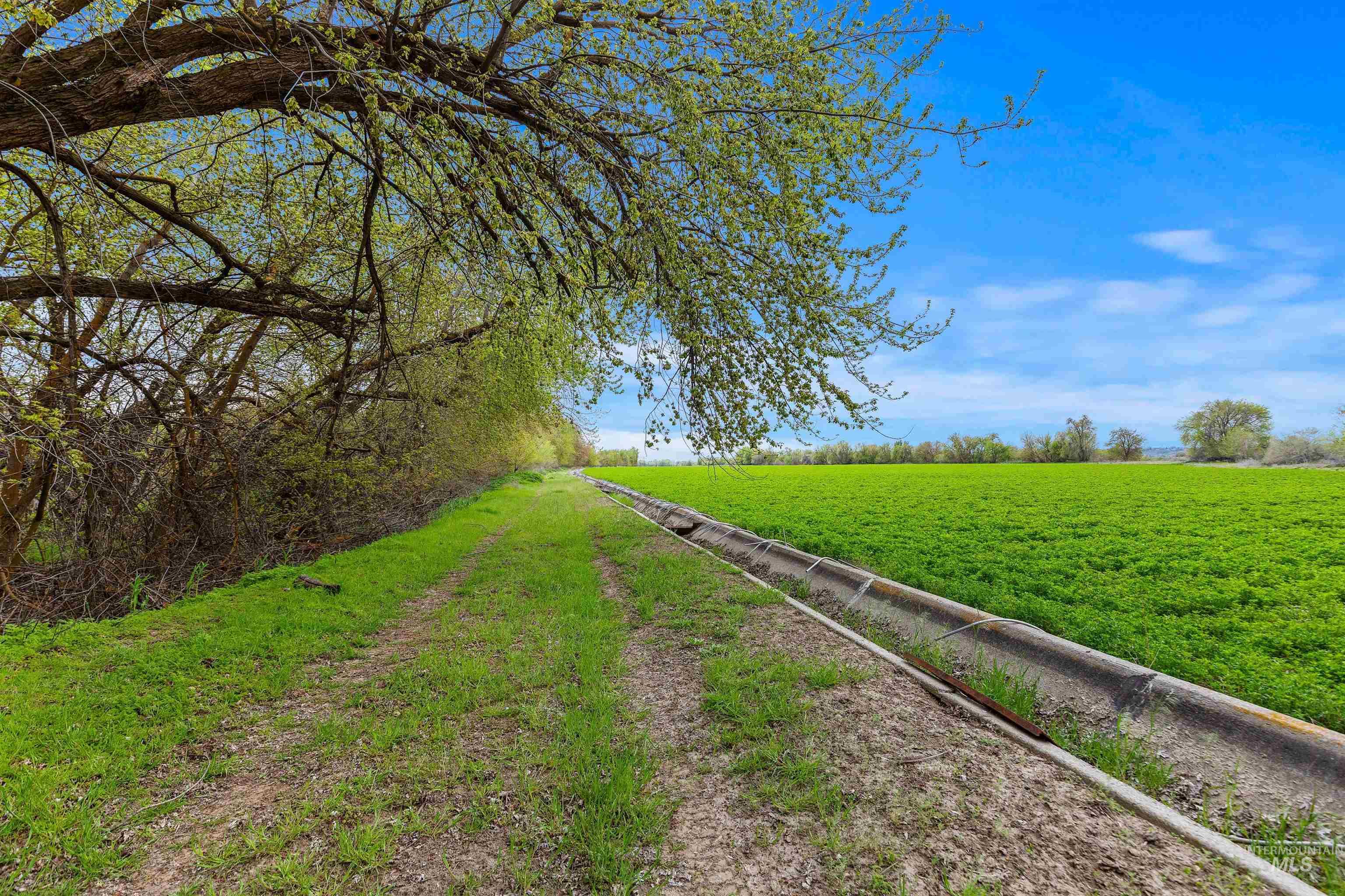 10651 N River Rd Property Photo 23