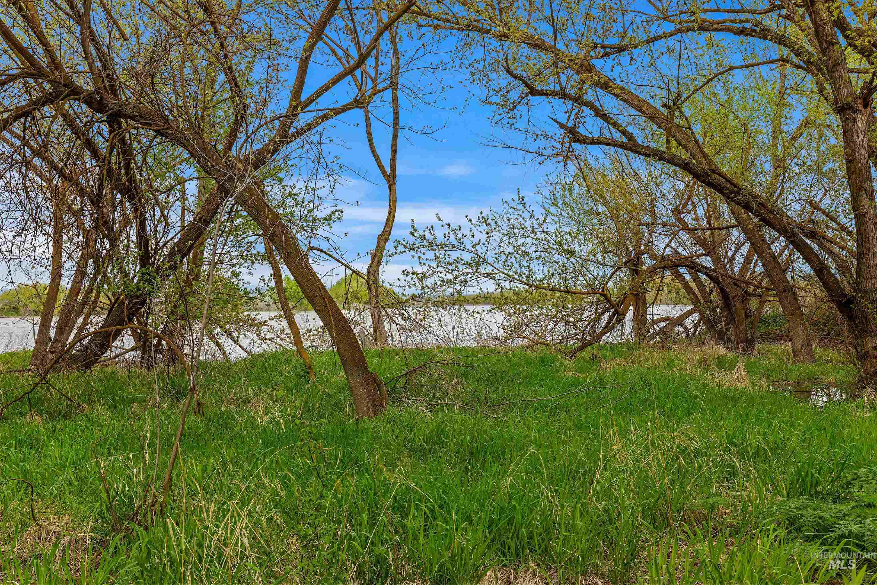 10651 N River Rd Property Photo 24