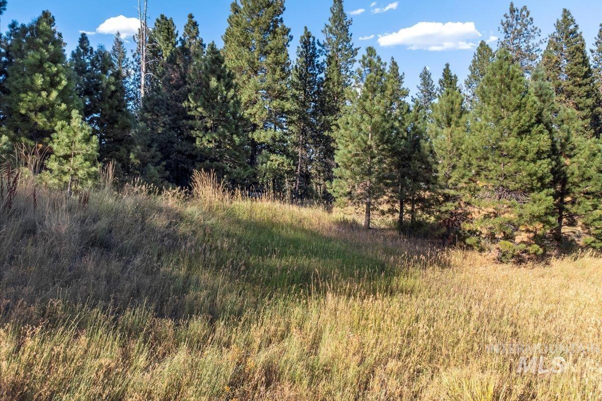 Lot 52 Boise Holcomb Sub Property Photo 6