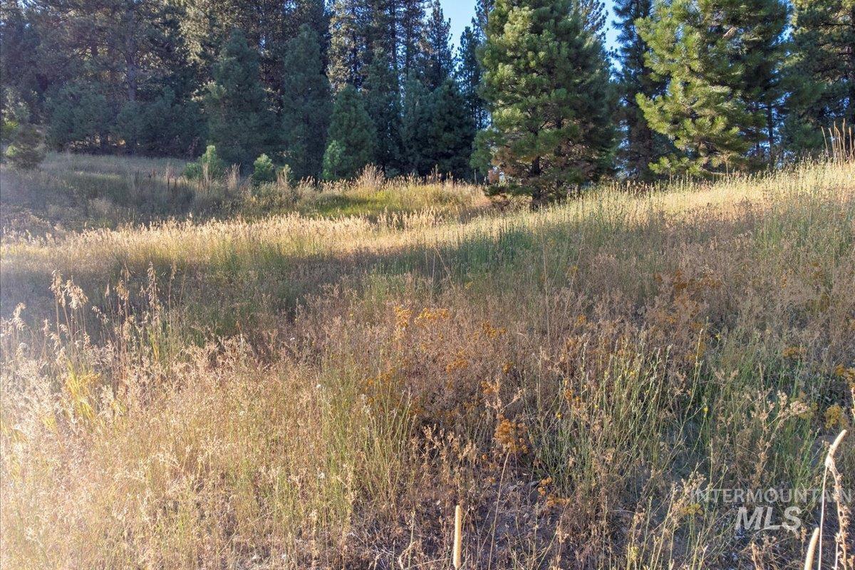 Lot 52 Boise Holcomb Sub Property Photo 7