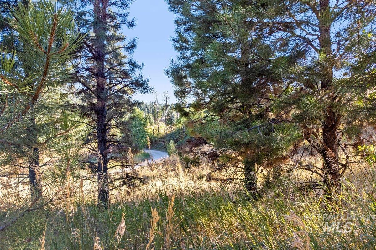 Lot 52 Boise Holcomb Sub Property Photo 13