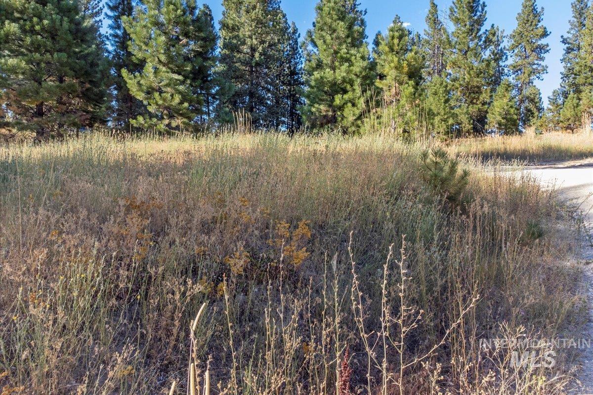 Lot 52 Boise Holcomb Sub Property Photo 16