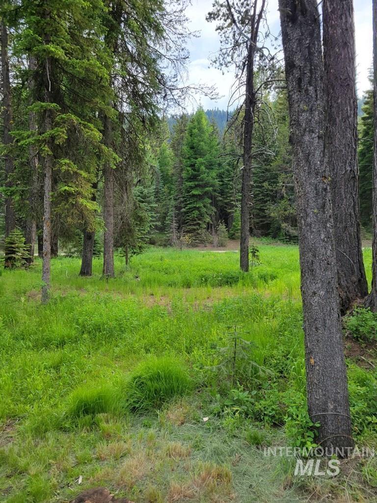 2491 Westwood Dr Property Photo 2