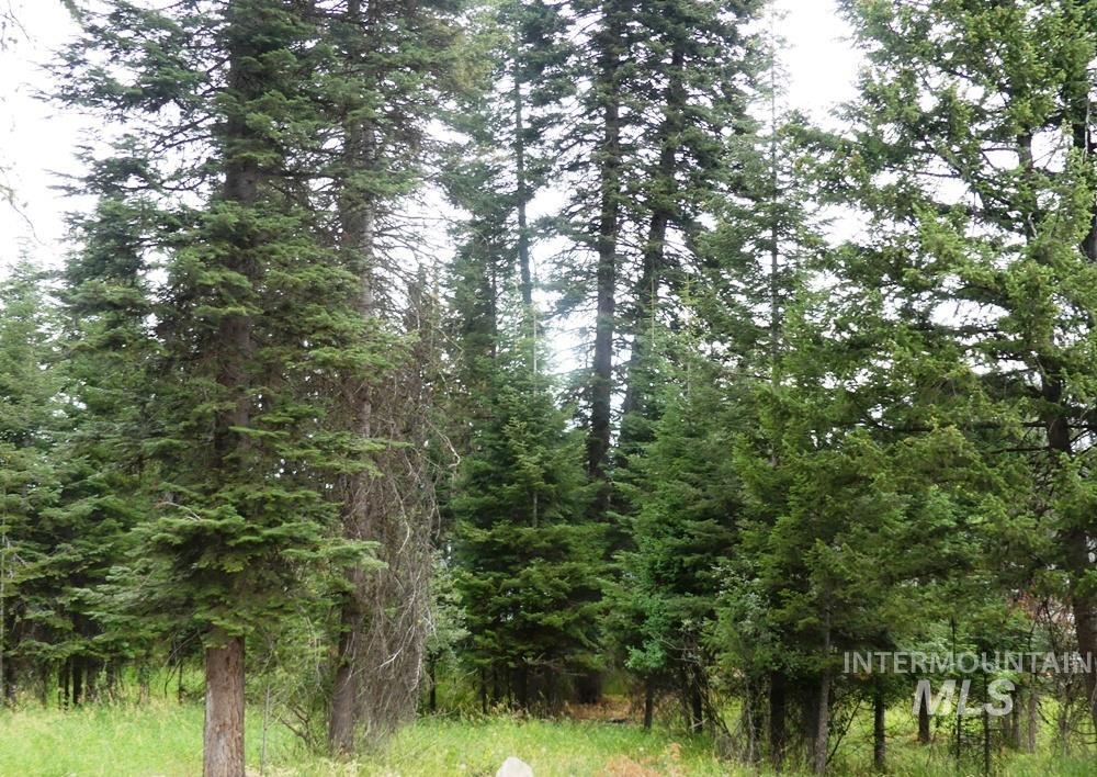 Tbd Lot 1 Clements Property Photo 1