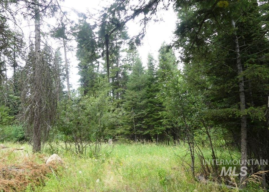 Tbd Lot 1 Clements Property Photo 3