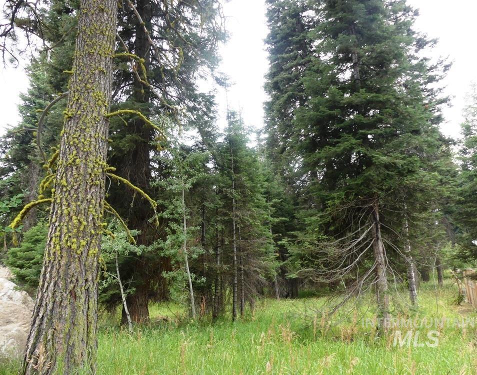 Tbd Lot 1 Clements Property Photo 4