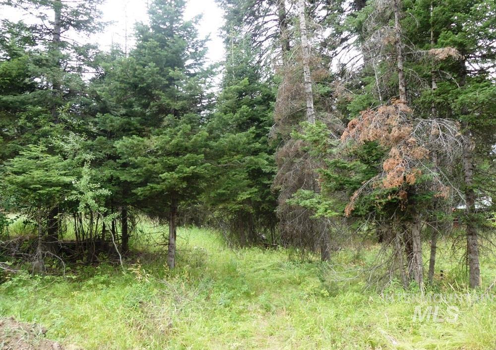 Tbd Lot 1 Clements Property Photo 5