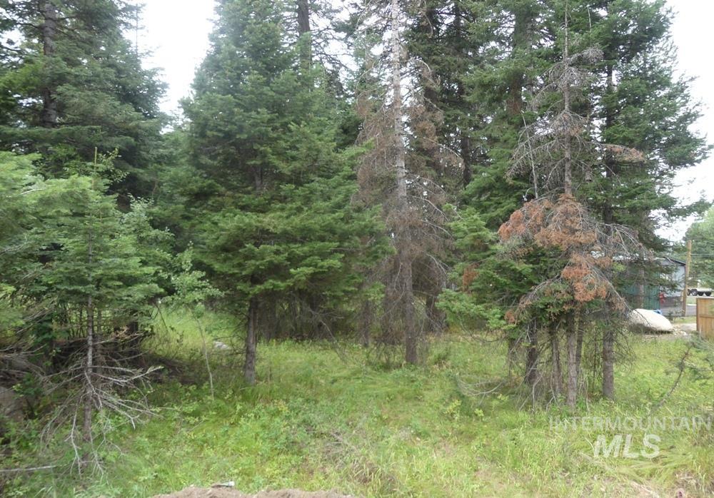 Tbd Lot 1 Clements Property Photo 6