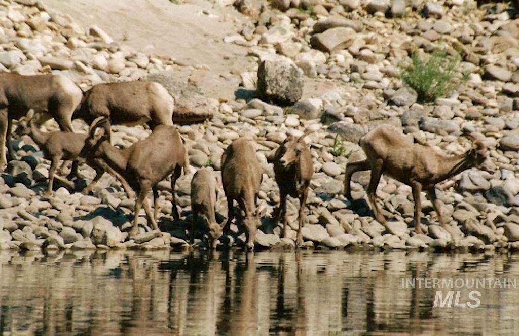 1 Salmon River Property Photo 49