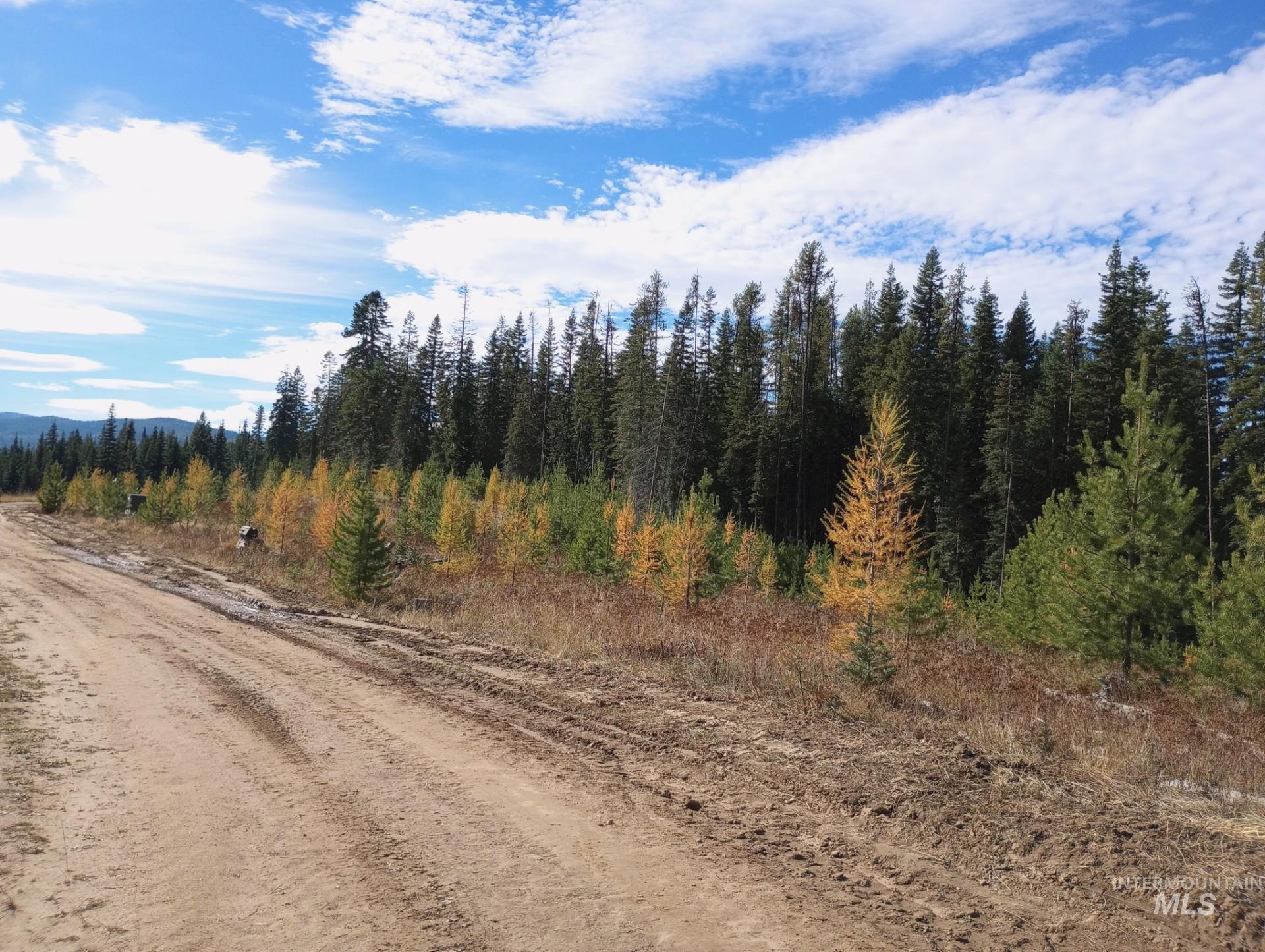 333 French Gulch Parcel 3 Property Photo 1
