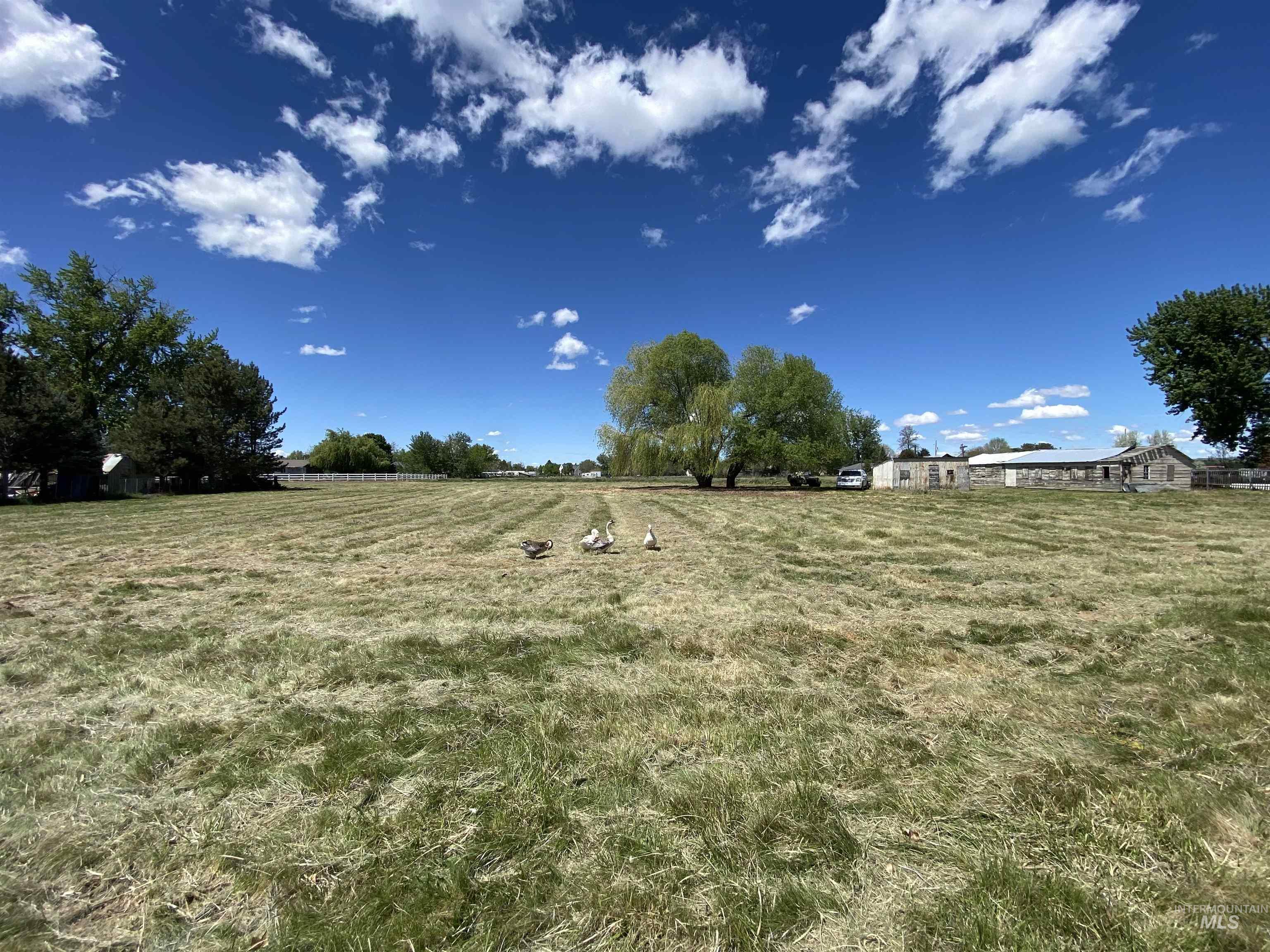 Tbd E Locust Street Property Photo 4
