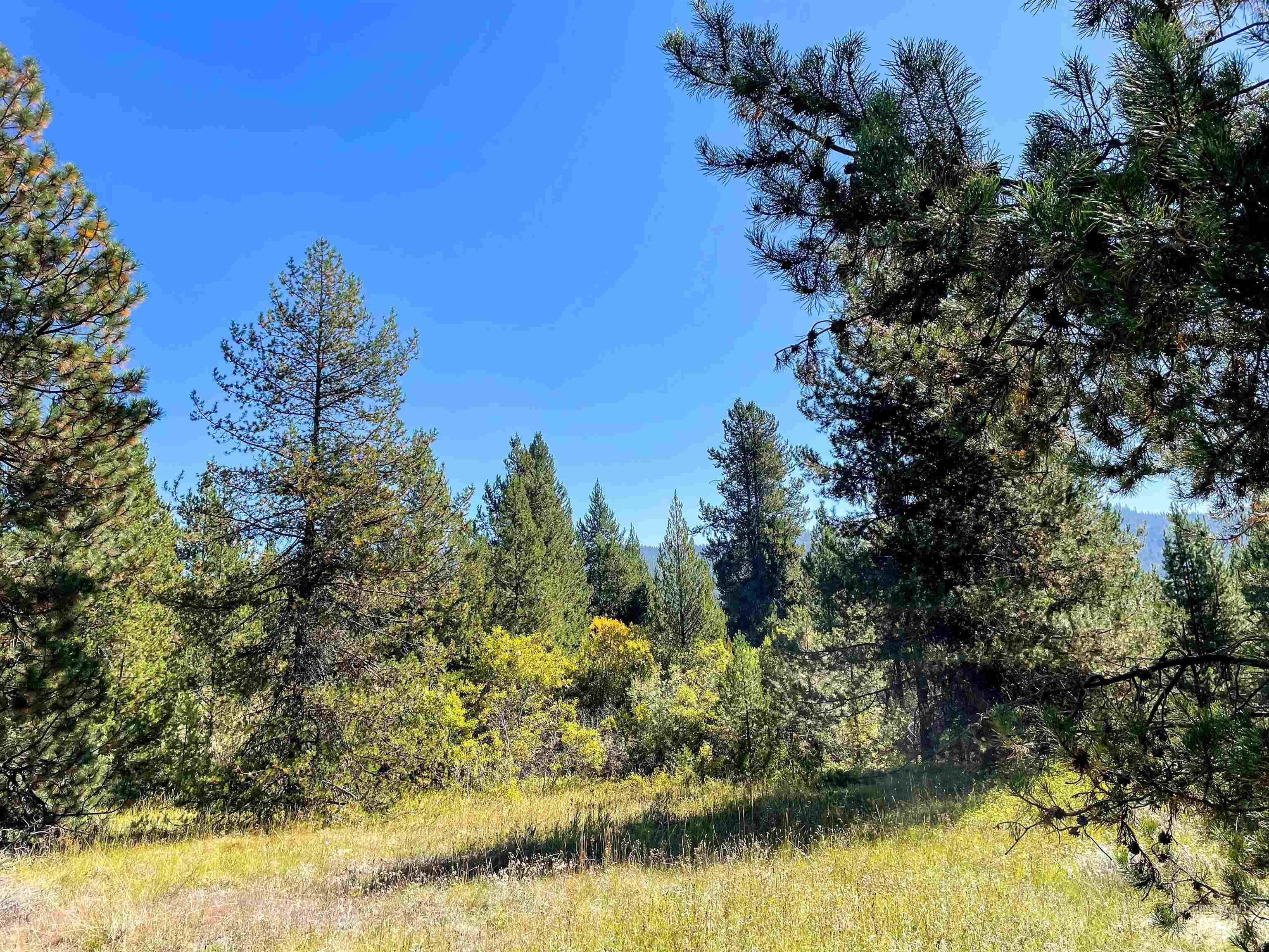 Tbd 1-1 Horsethief Road Property Photo 8