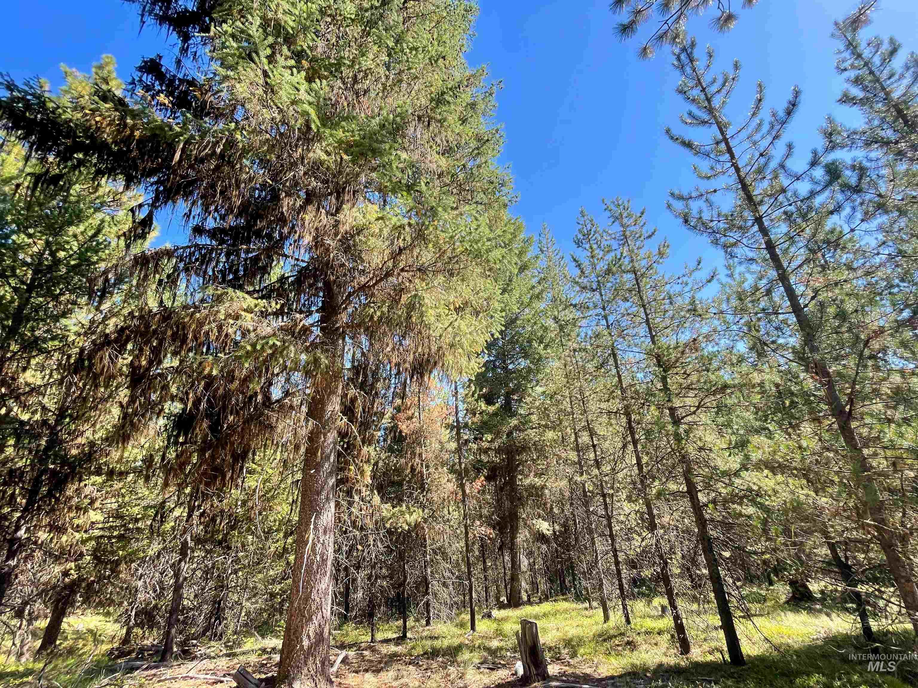 Tbd 1-1 Horsethief Road Property Photo 10