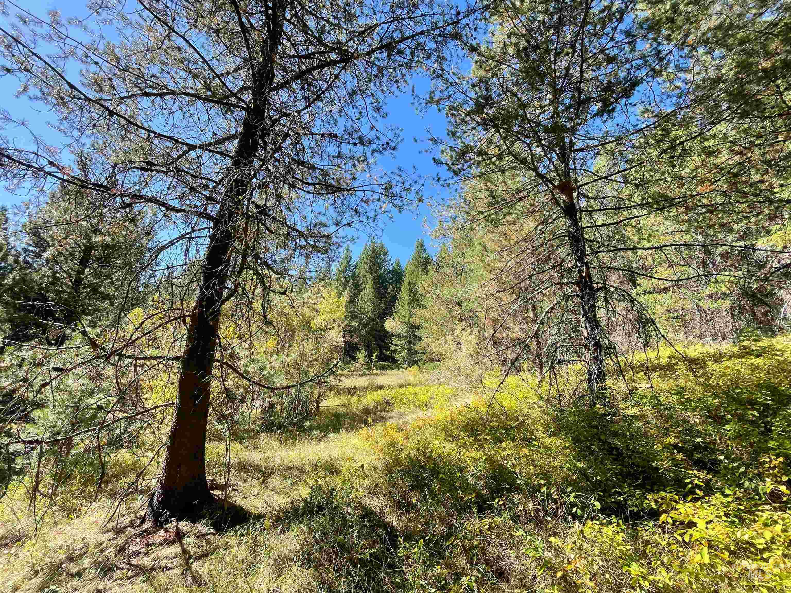 Tbd 1-1 Horsethief Road Property Photo 11