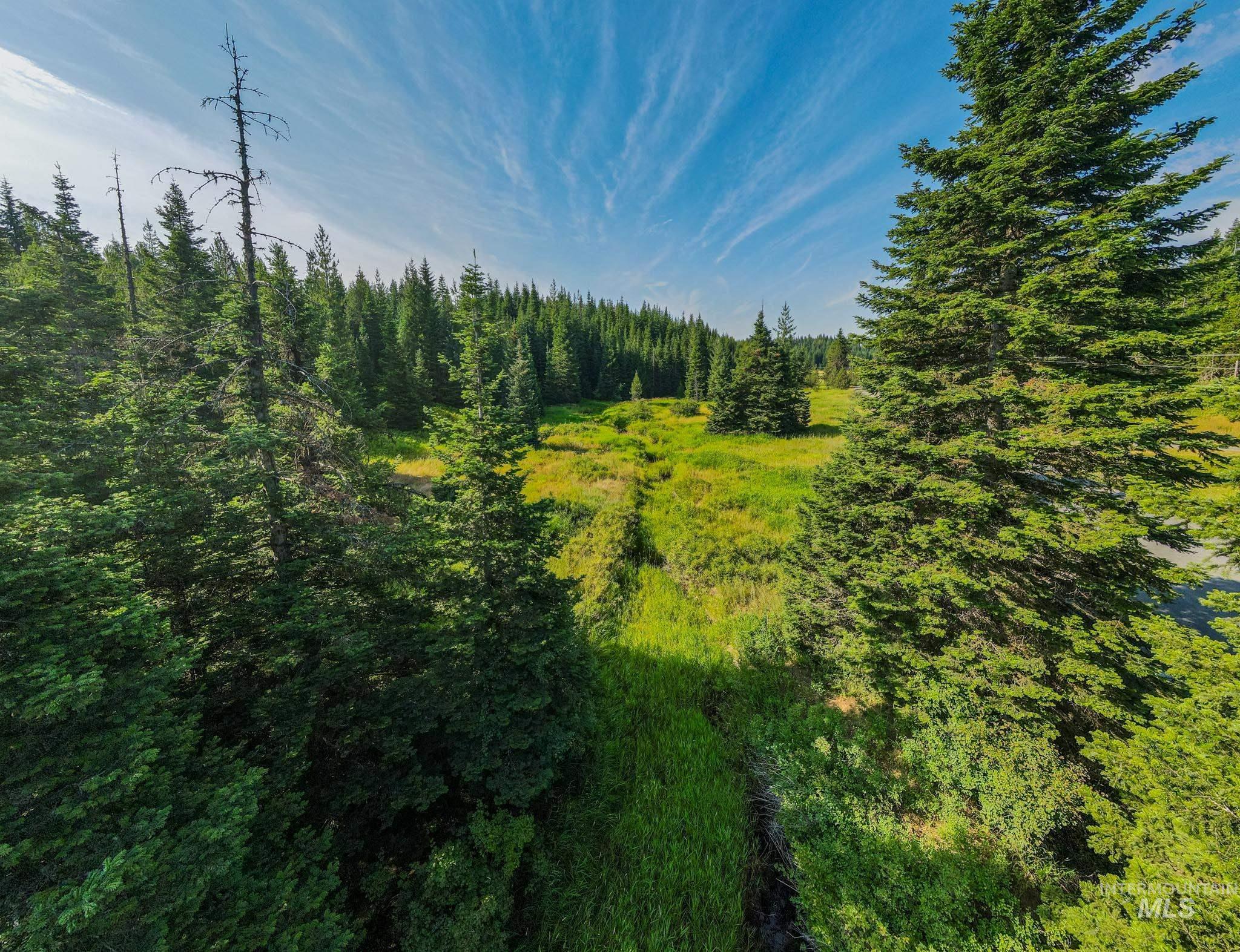 18602 Upper Fords Creek Property Photo 3