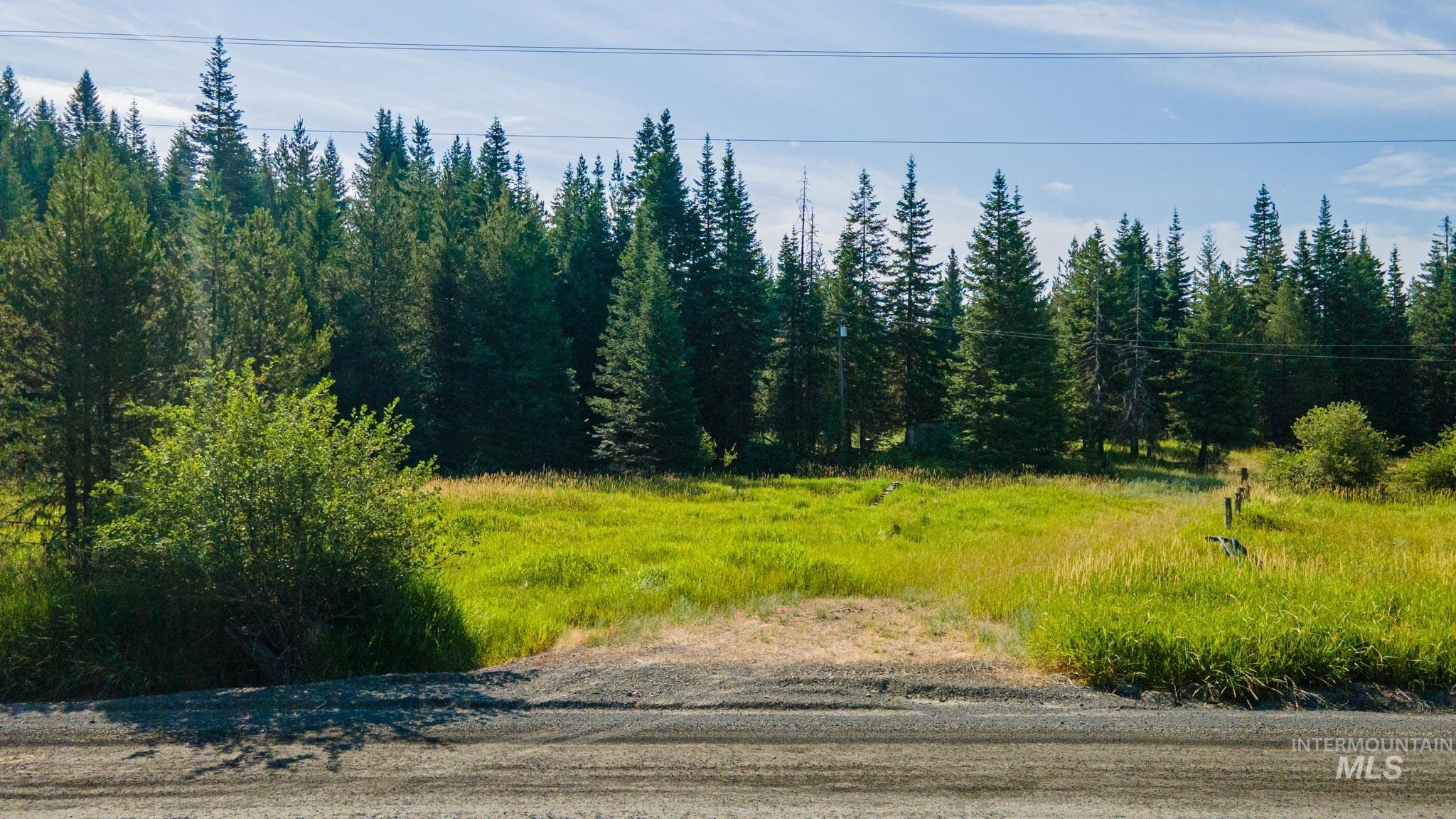 18602 Upper Fords Creek Property Photo 25