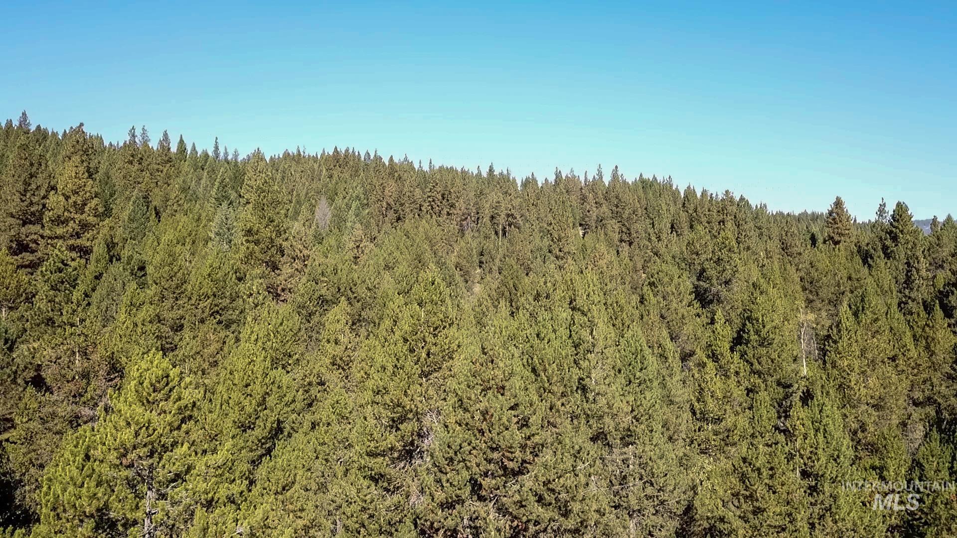 Tbd 1-3 Horsethief Rd. Property Photo 3