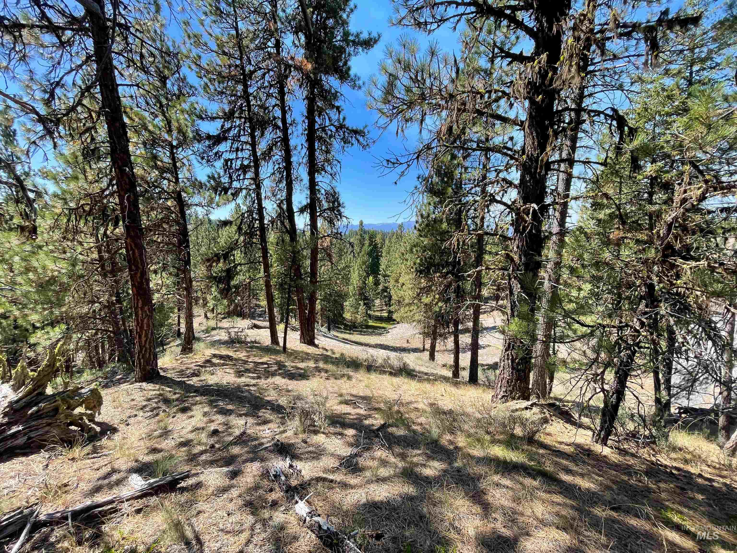Tbd 1-3 Horsethief Rd. Property Photo 4