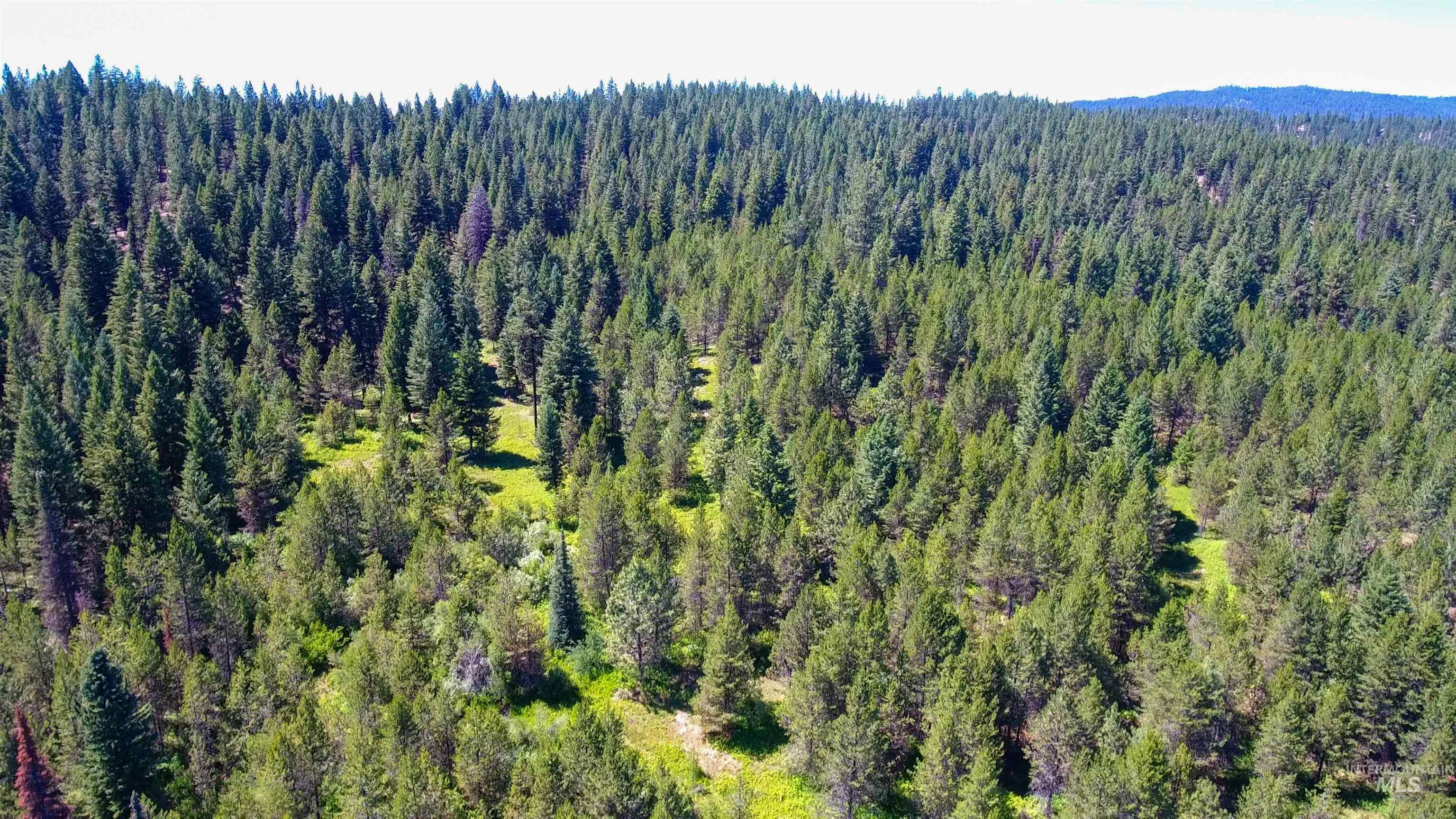 Tbd 1-3 Horsethief Rd. Property Photo 7