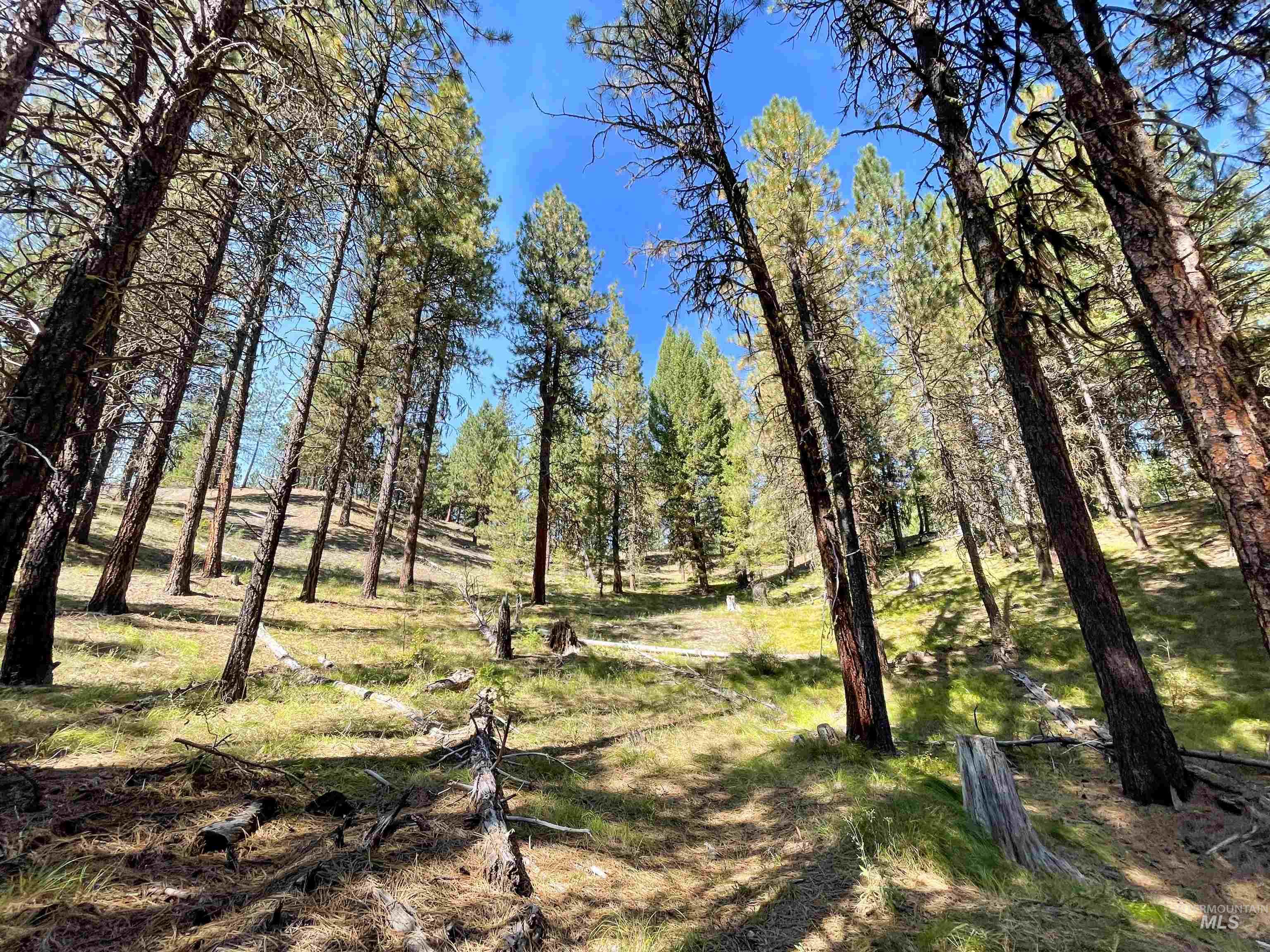 Tbd 1-3 Horsethief Rd. Property Photo 8