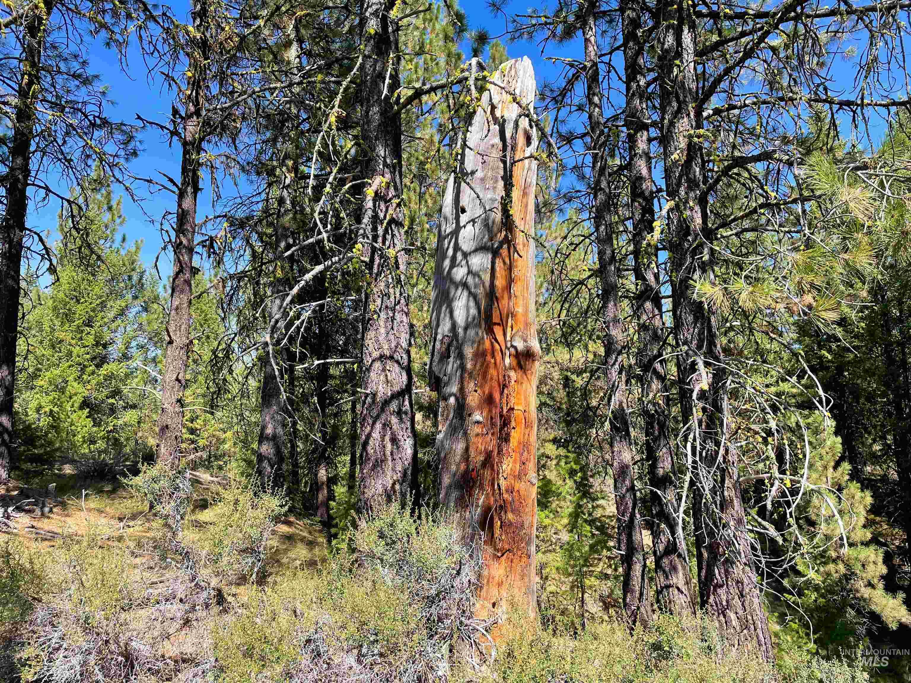 Tbd 1-3 Horsethief Rd. Property Photo 10