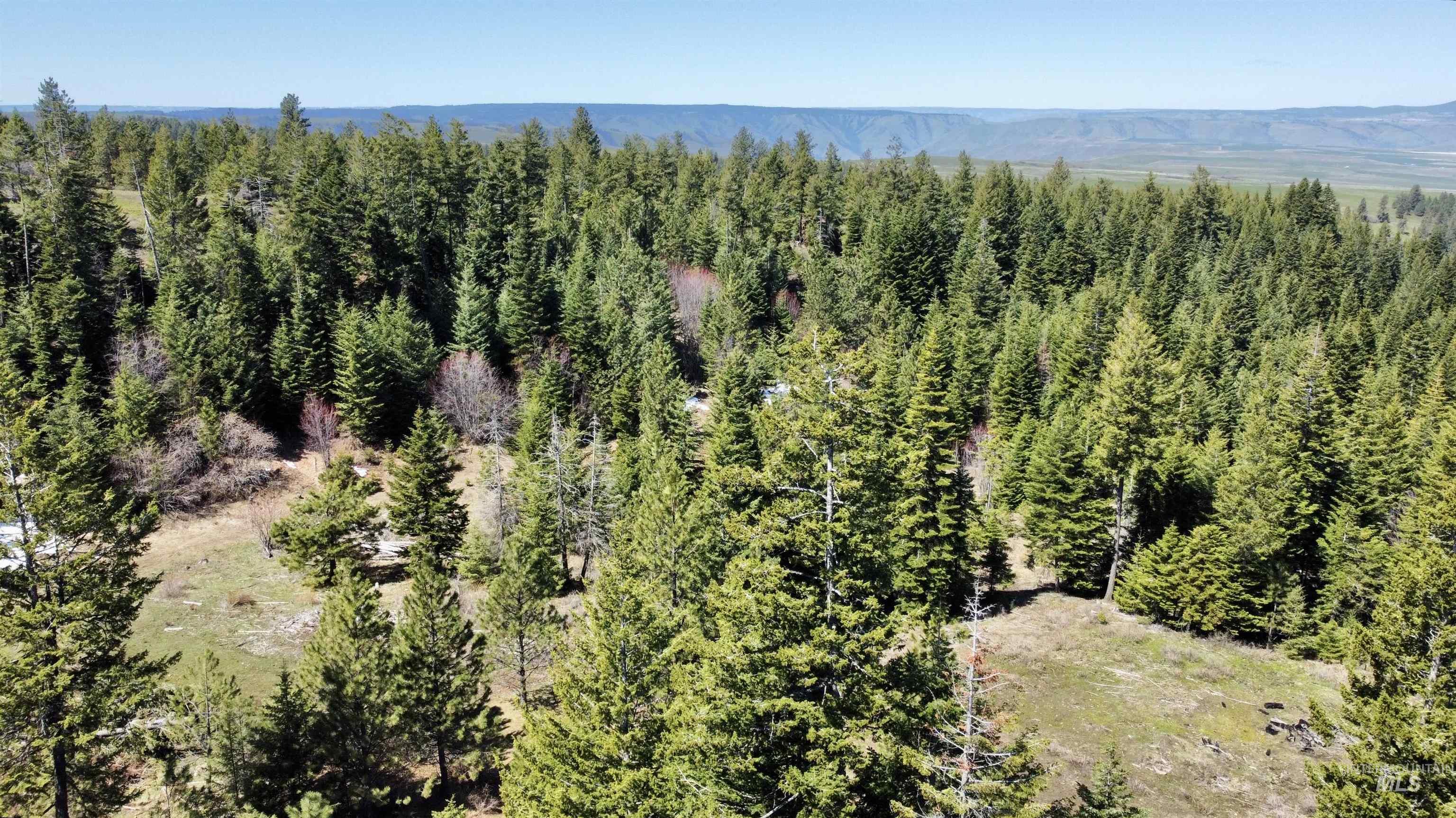 Tbd 2138 P 6 Old White Bird Hill Rd. Property Photo 1