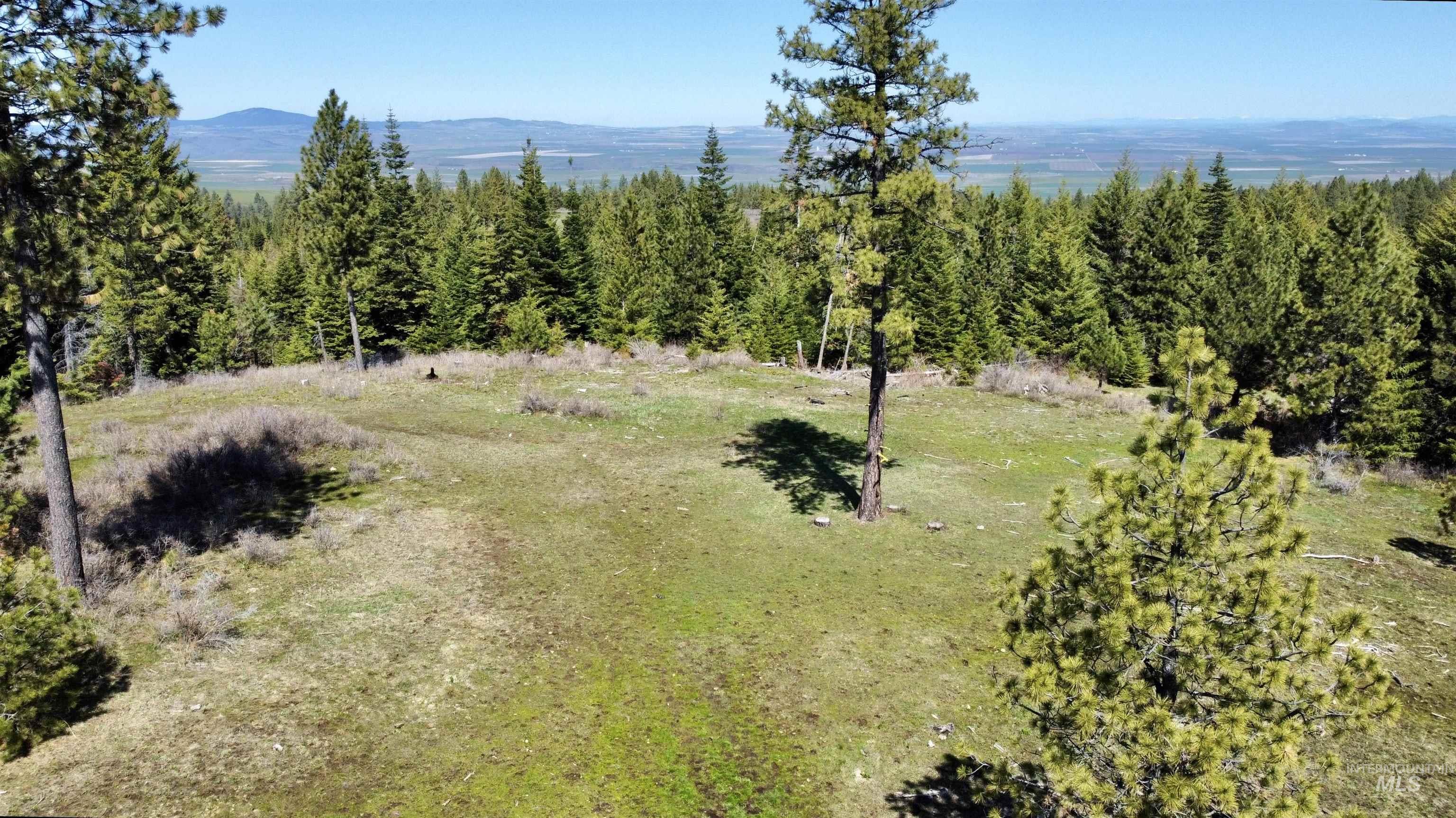 Tbd 2138 P 5 Old White Bird Rd Property Photo 1