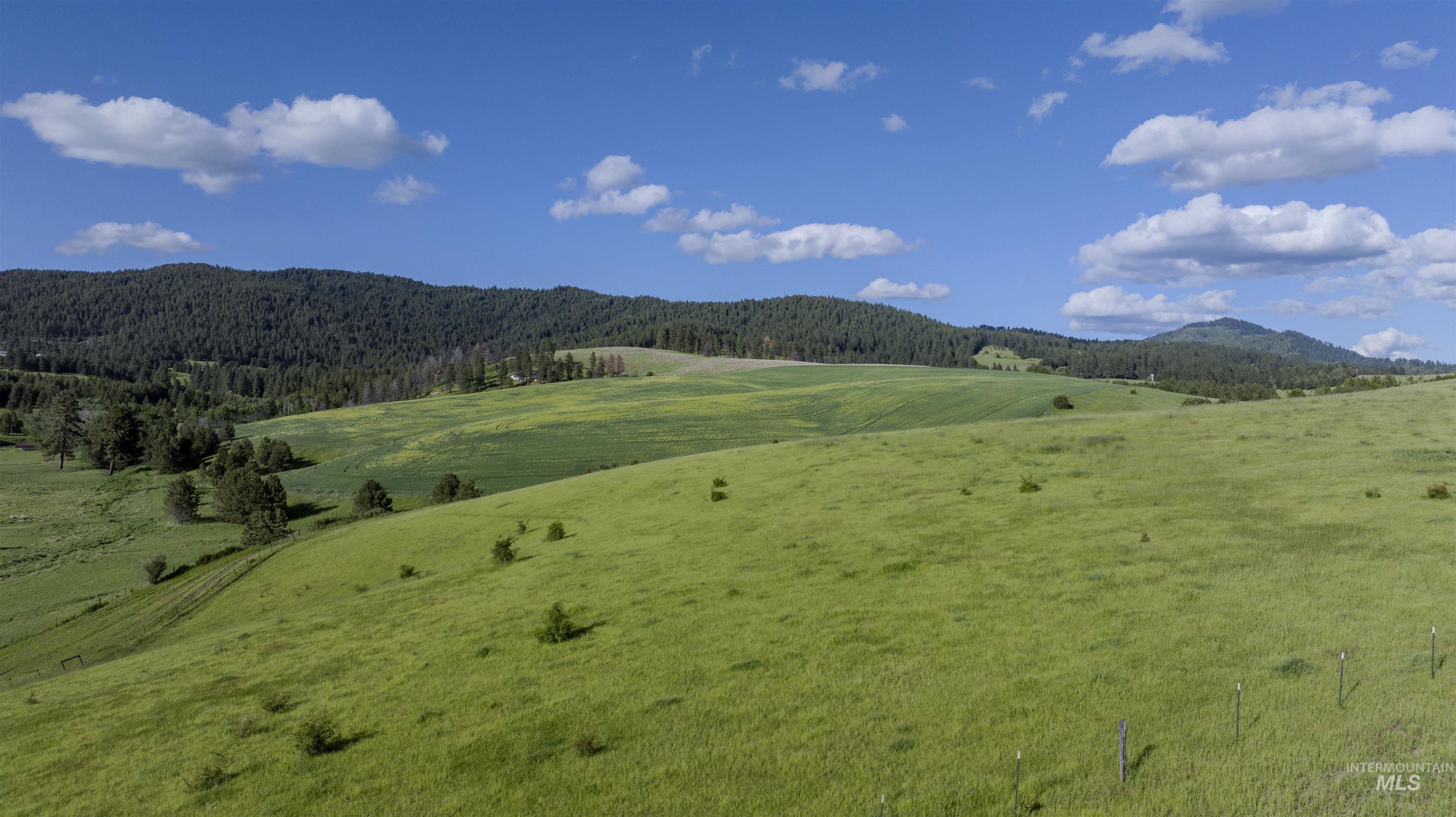 000 Idler's Rest Rd/schultz Rd Property Photo 6