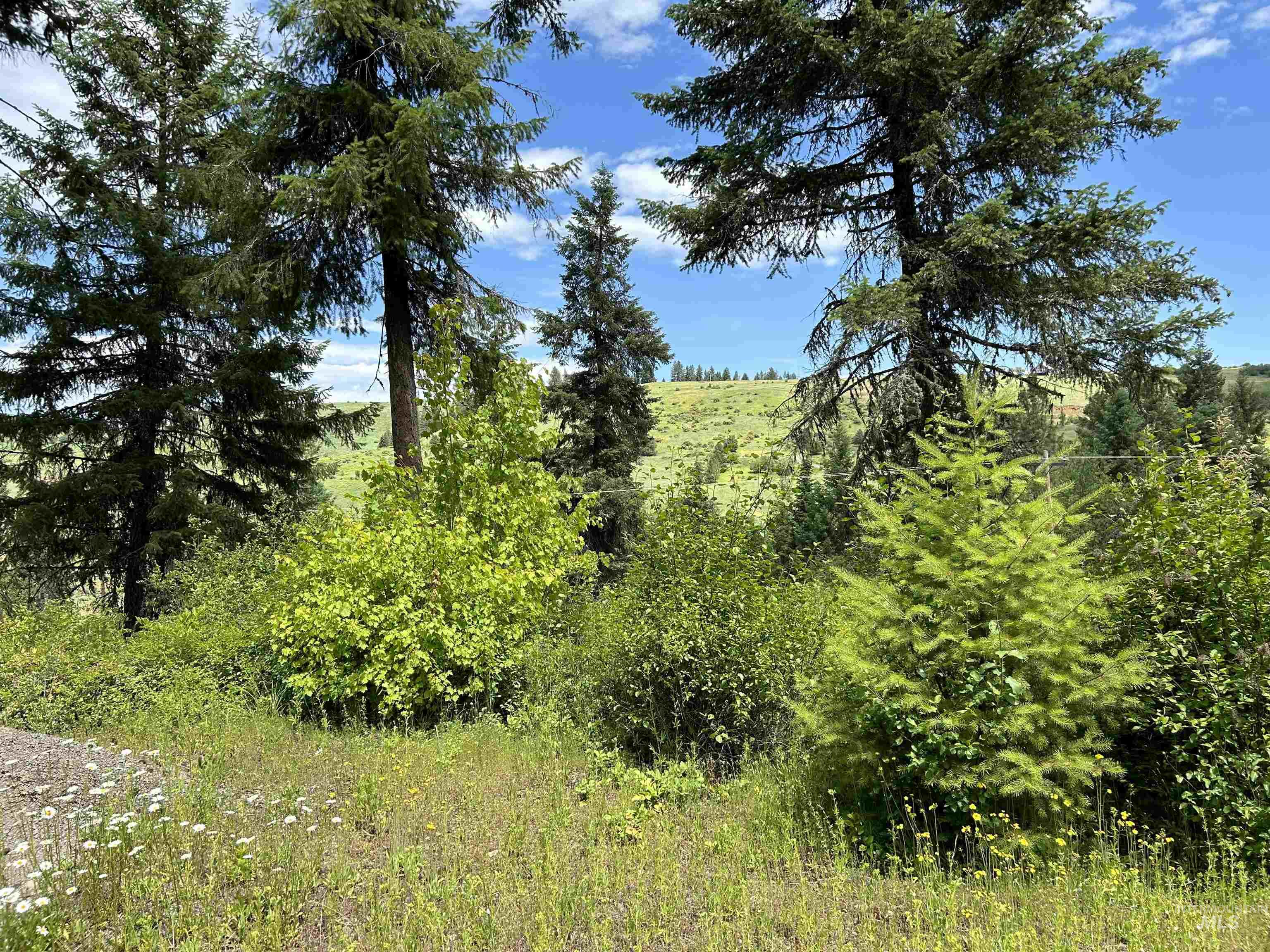 Tbd Long Bluff Road Property Photo 1