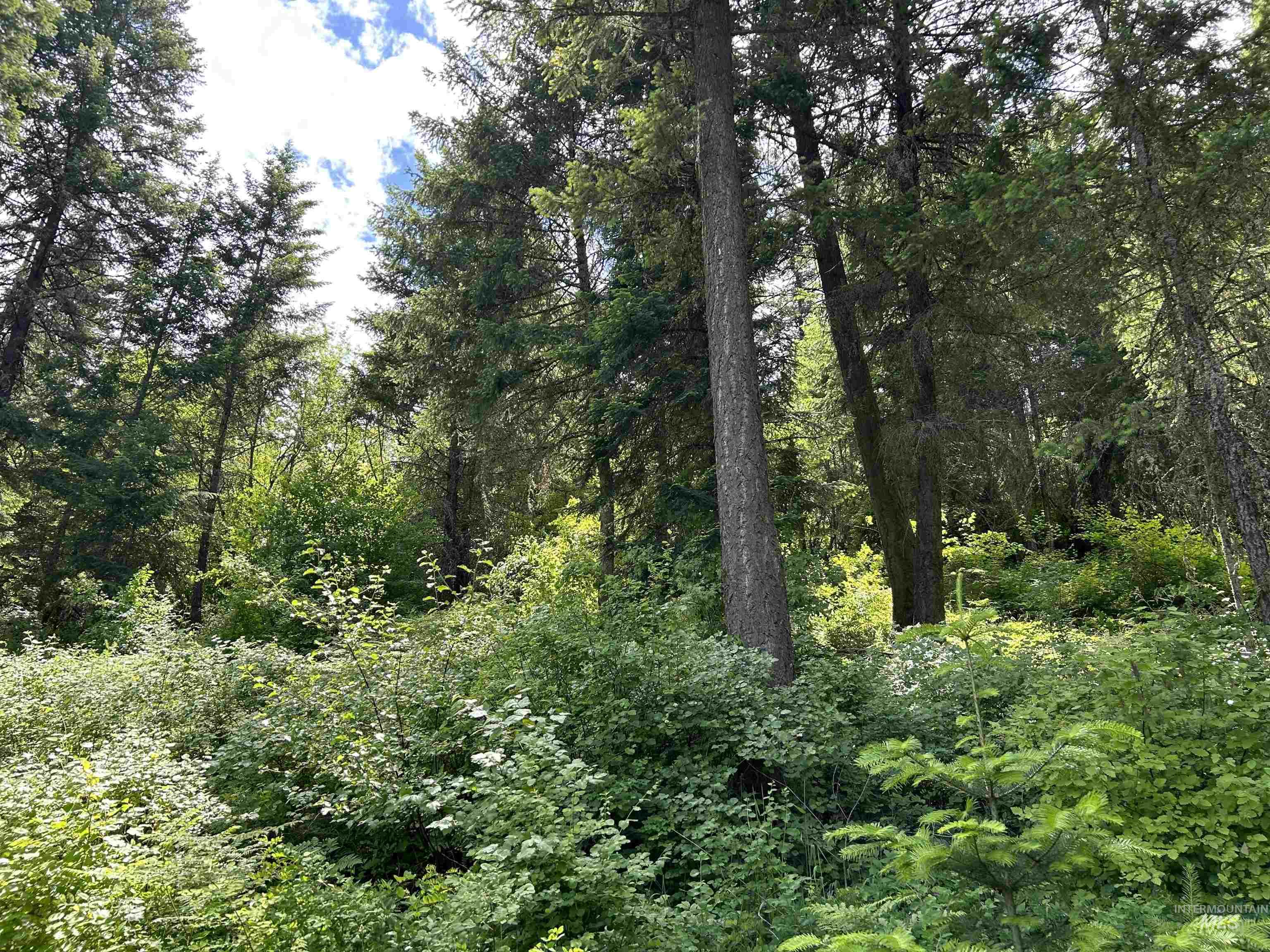 Tbd Long Bluff Road Property Photo 3