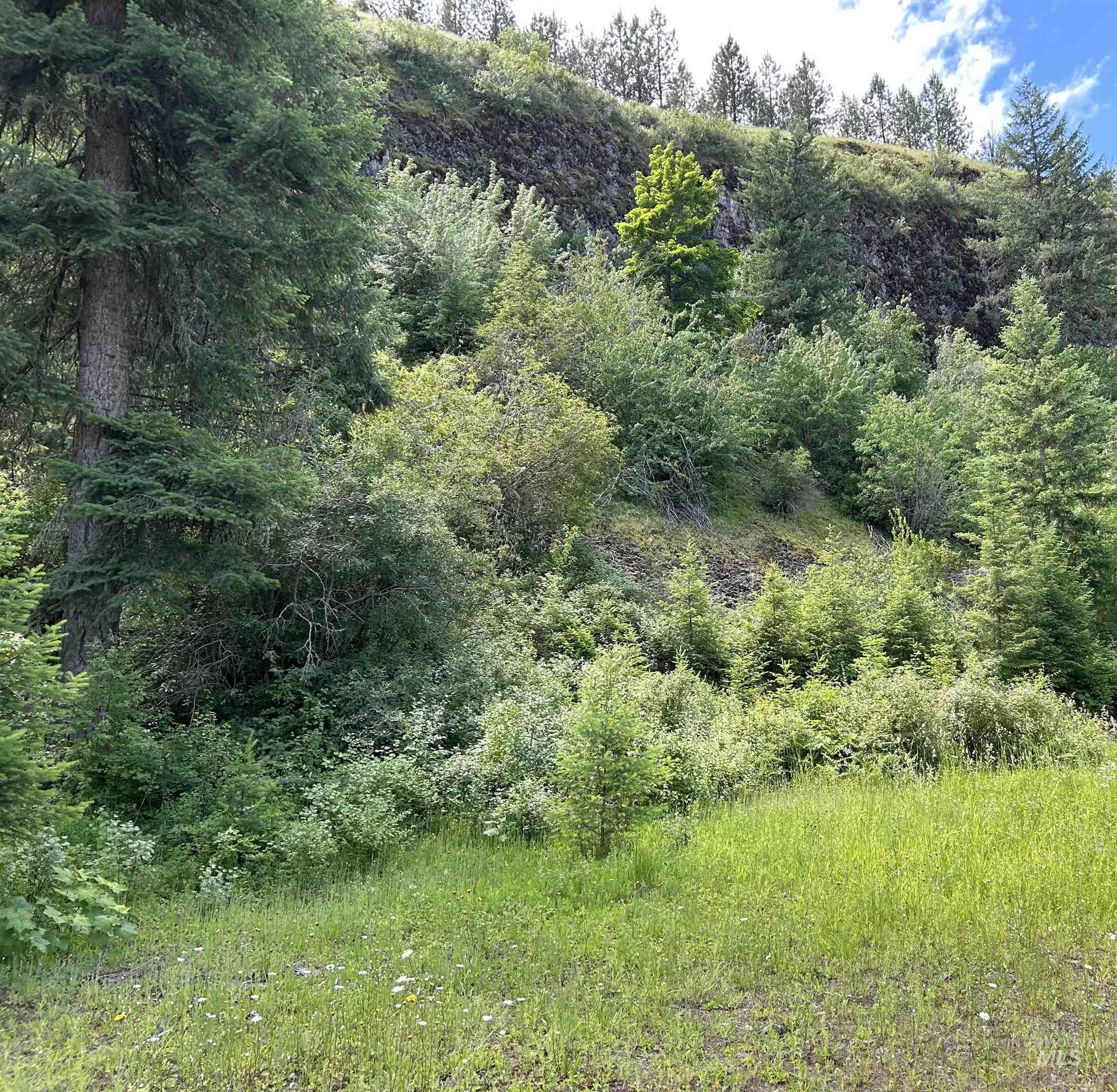 Tbd Long Bluff Road Property Photo 4