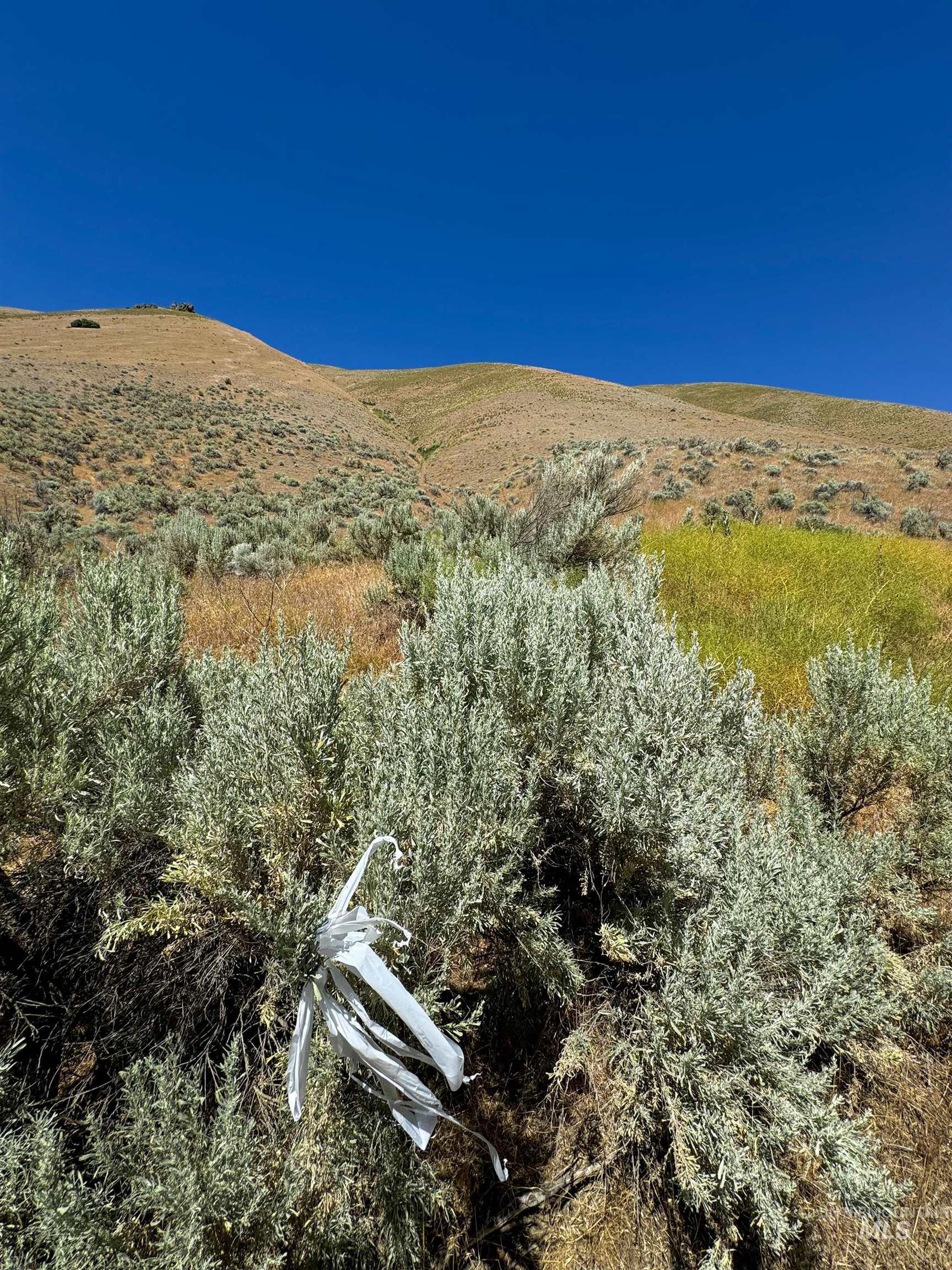 Lot 2, Parcel 1 Dennett Creek Rd Property Photo 5