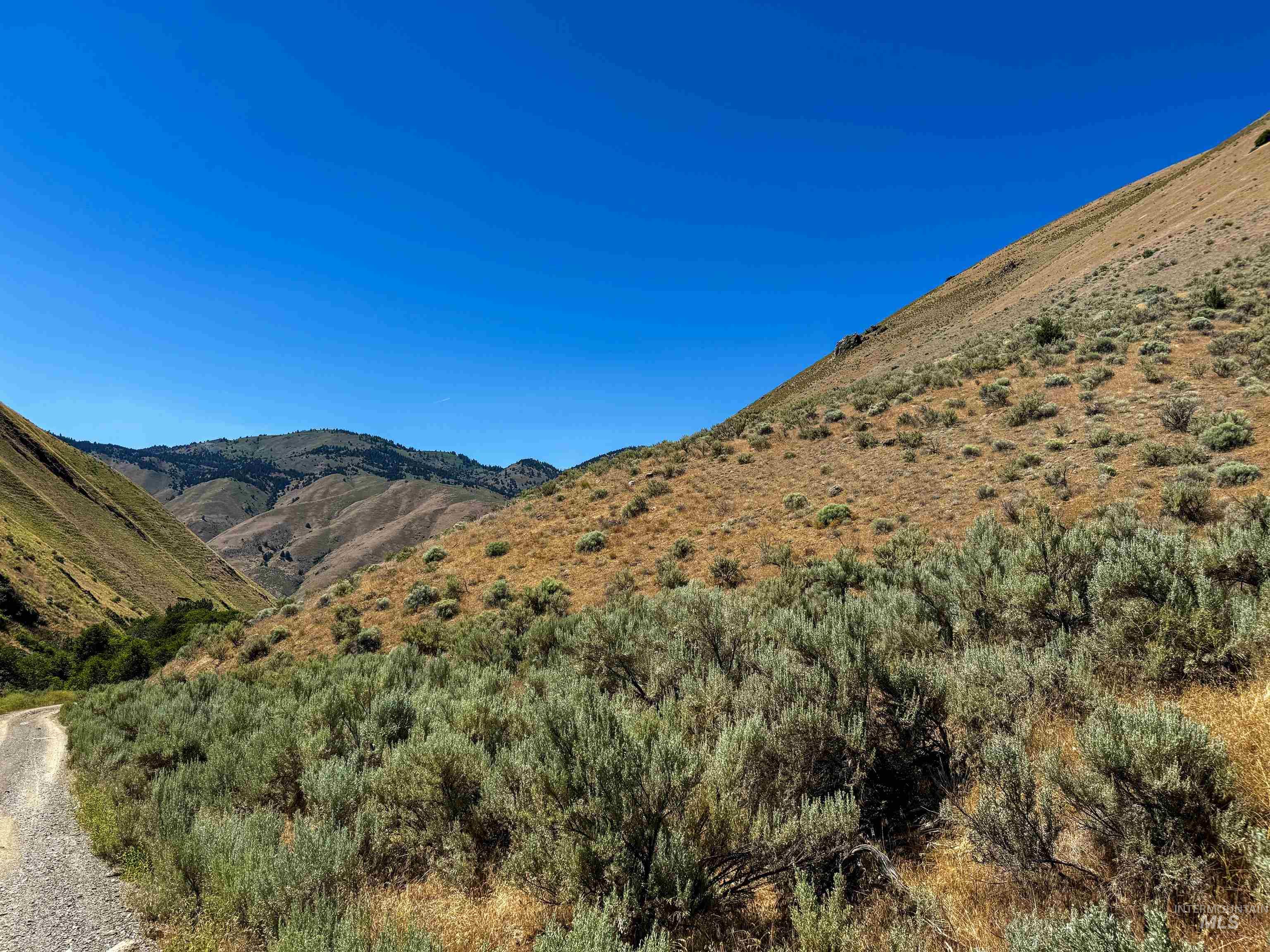 Lot 2, Parcel 1 Dennett Creek Rd Property Photo 6