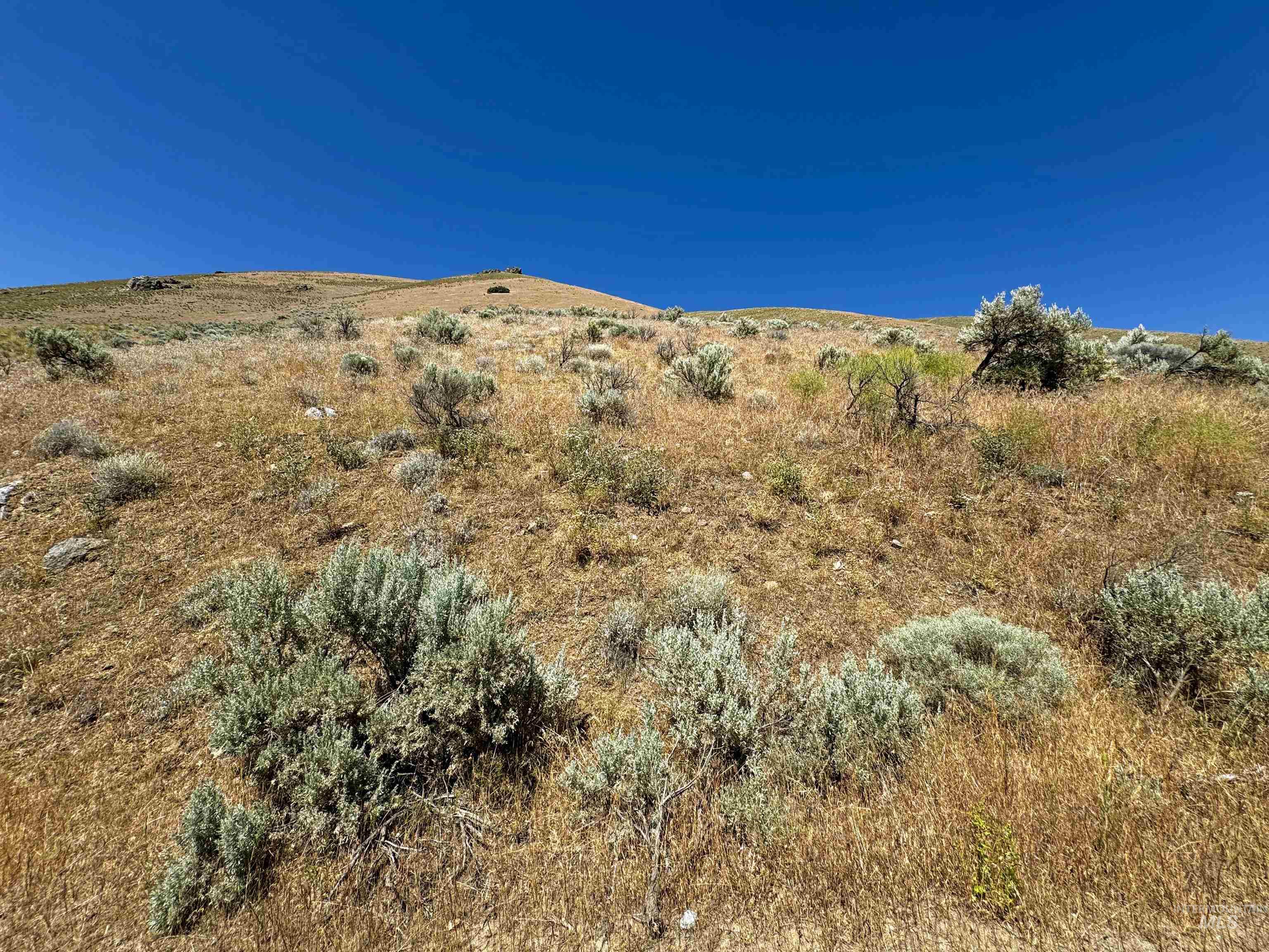 Lot 2, Parcel 1 Dennett Creek Rd Property Photo 9