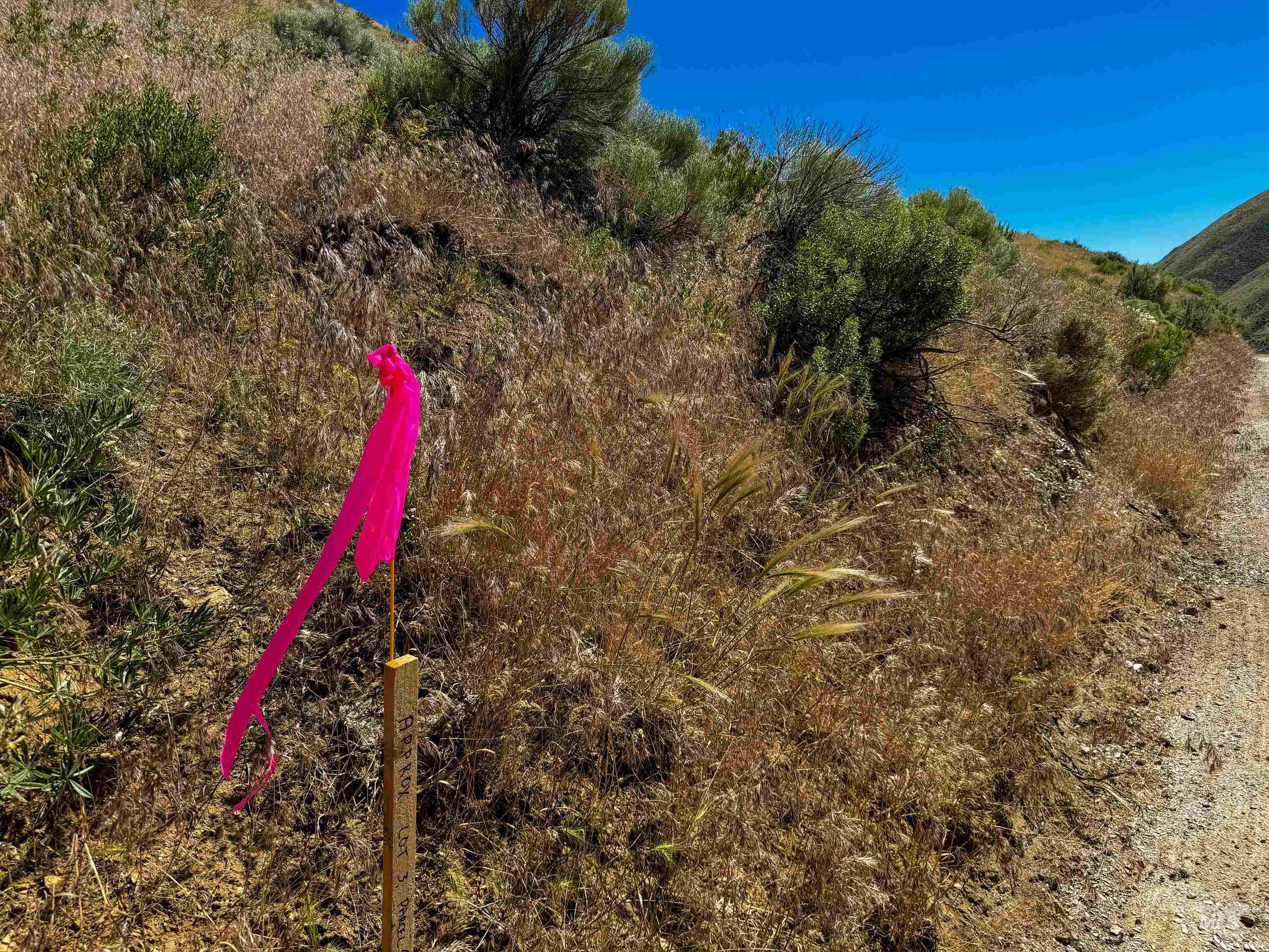 Lot 3, Parcel 1 Rock Creek Rd Property Photo 17