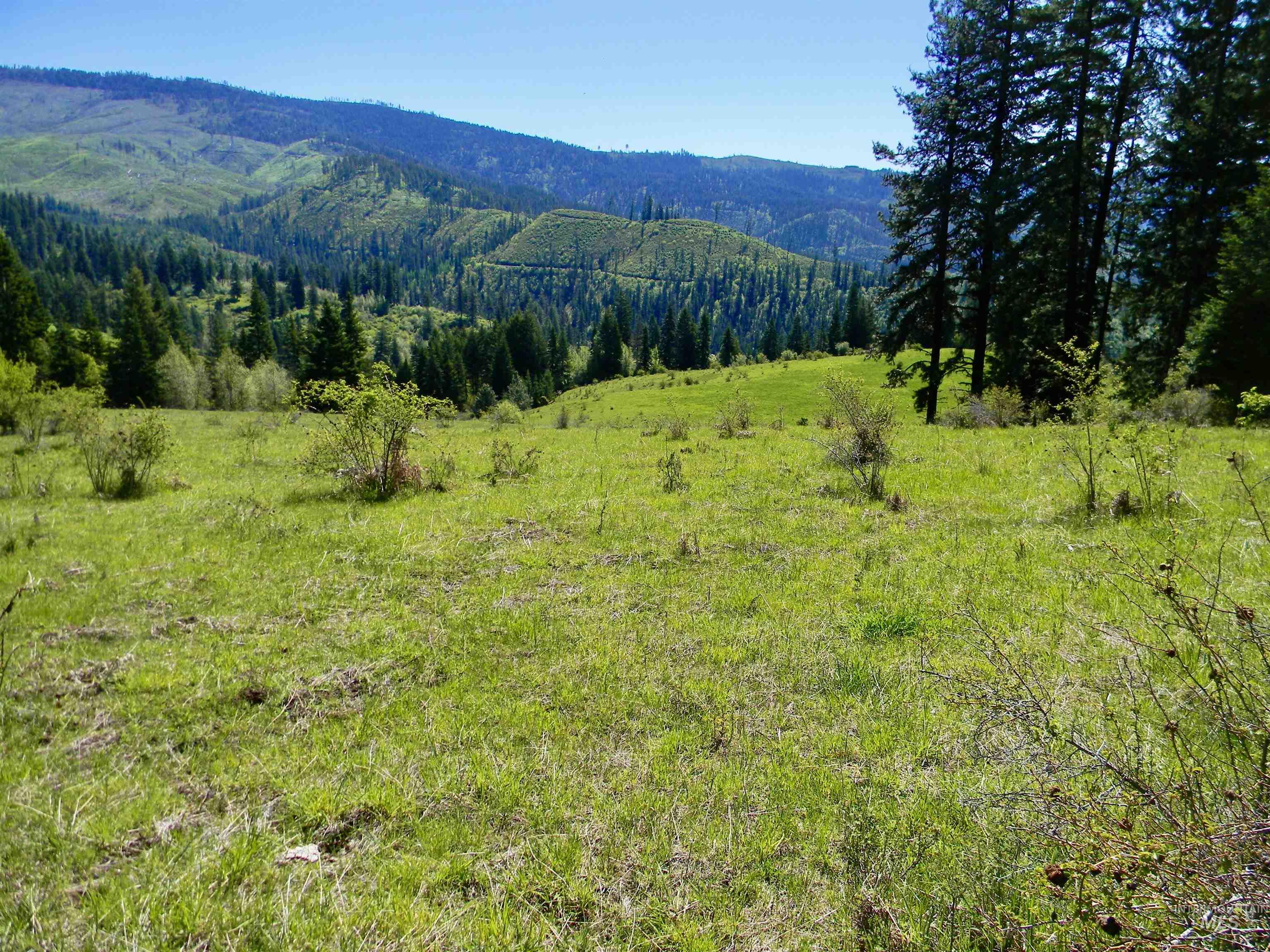 151 151 Ranta Rd Property Photo 7