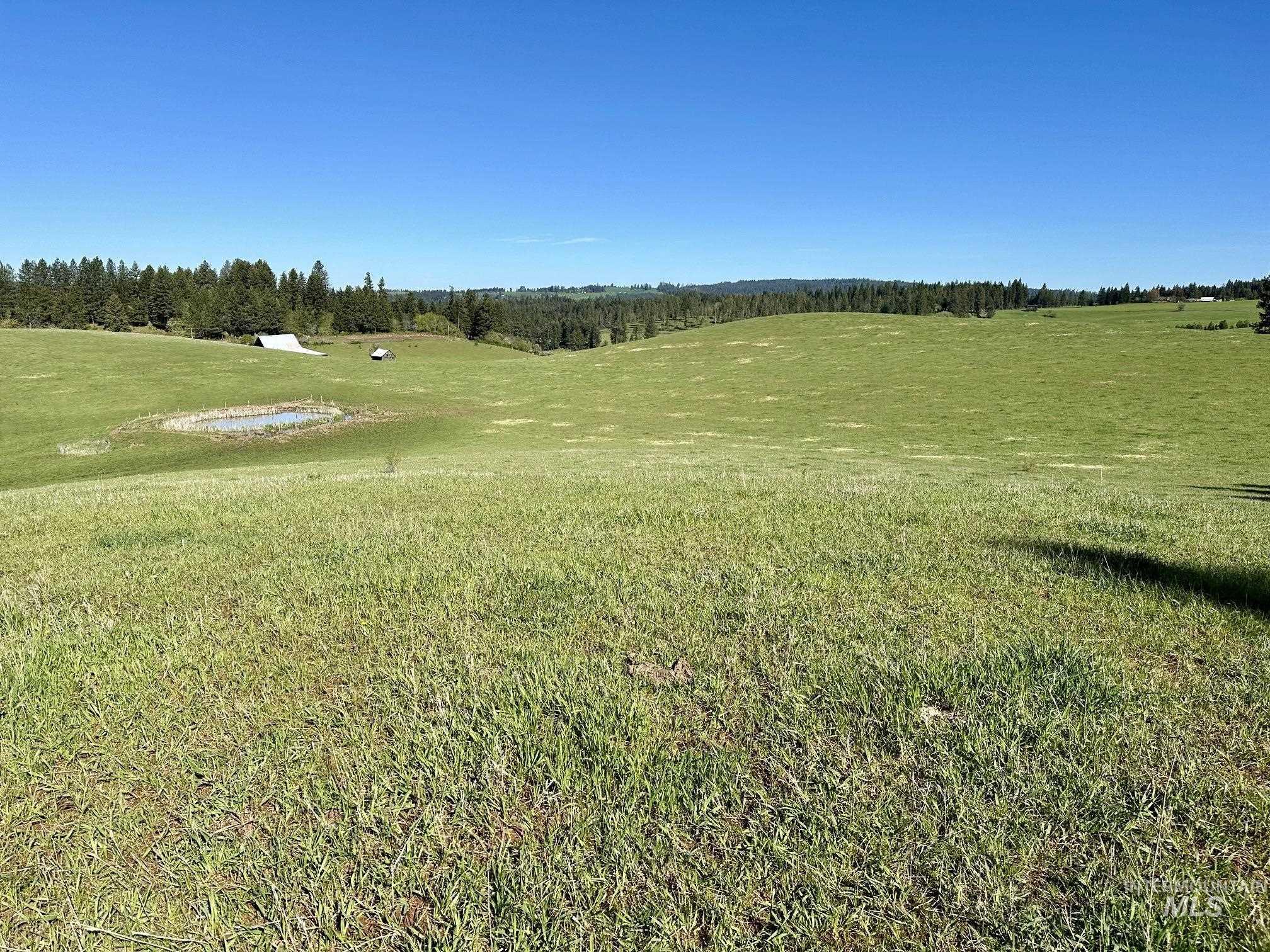 151 151 Ranta Rd Property Photo 28