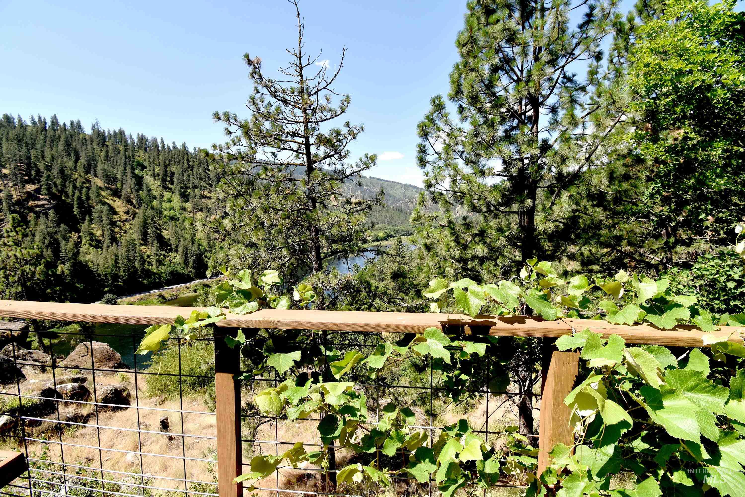 1801 Old Peck Grade Property Photo 32