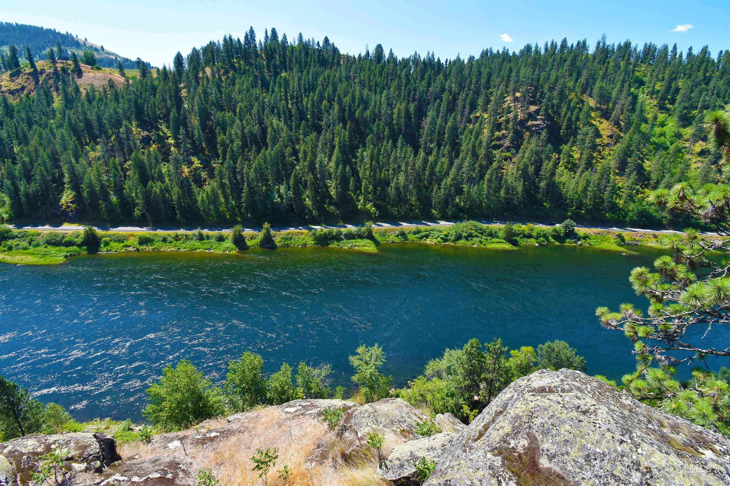 1801 Old Peck Grade Property Photo 38