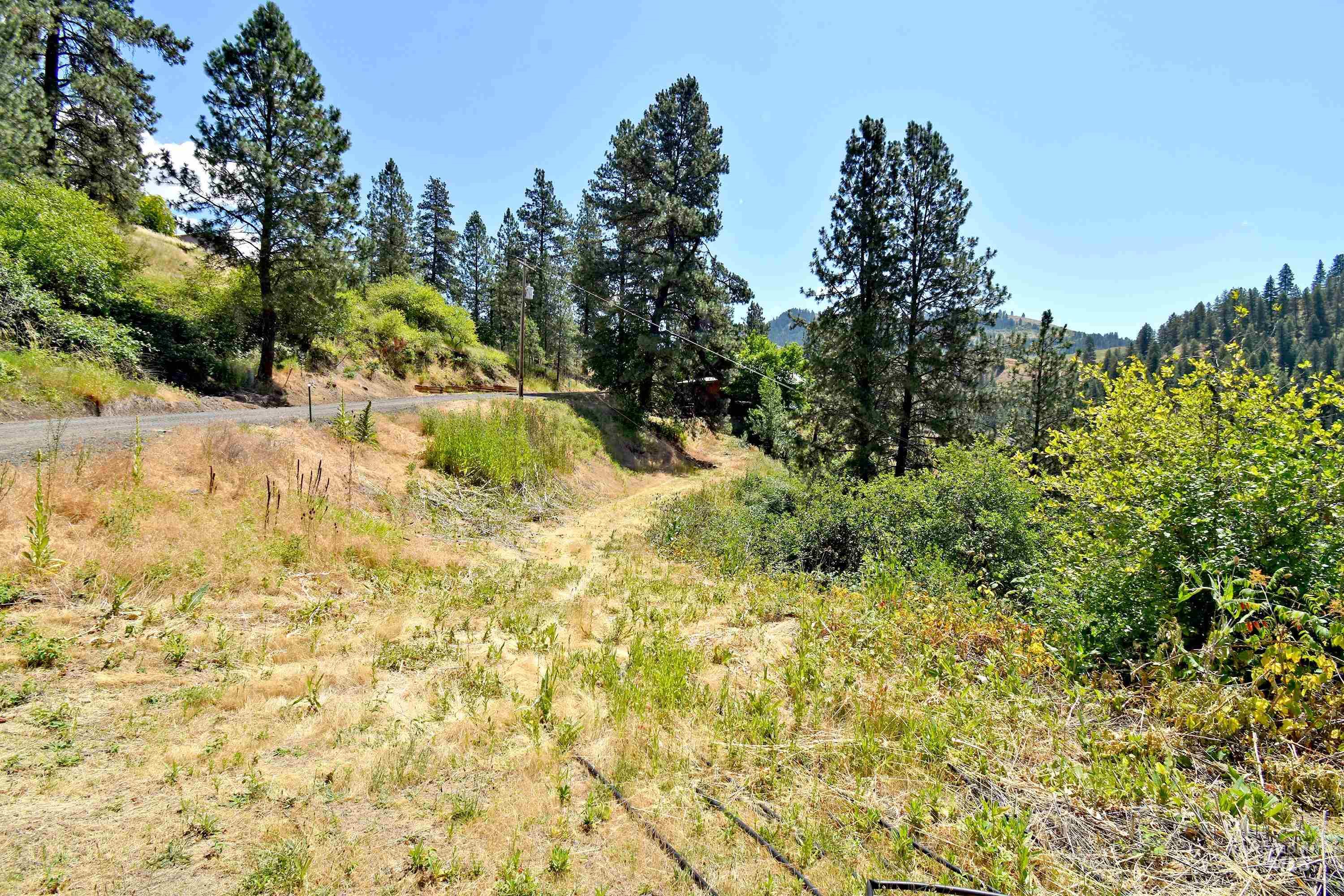 1801 Old Peck Grade Property Photo 44