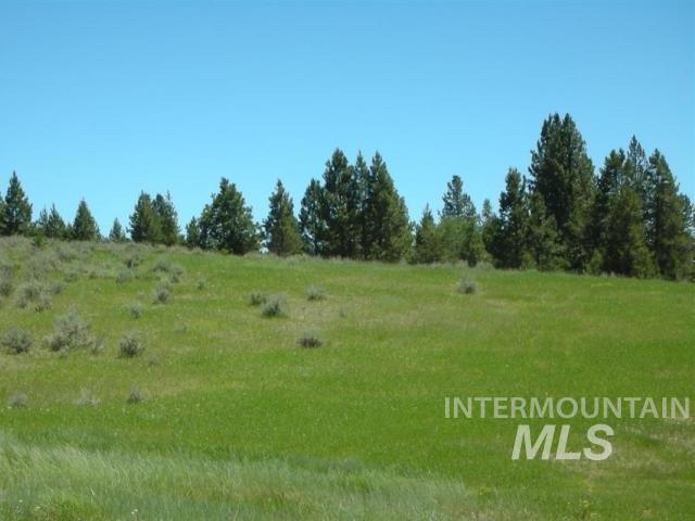 Tbd Lot 9 Empty Saddle Way Property Photo 6