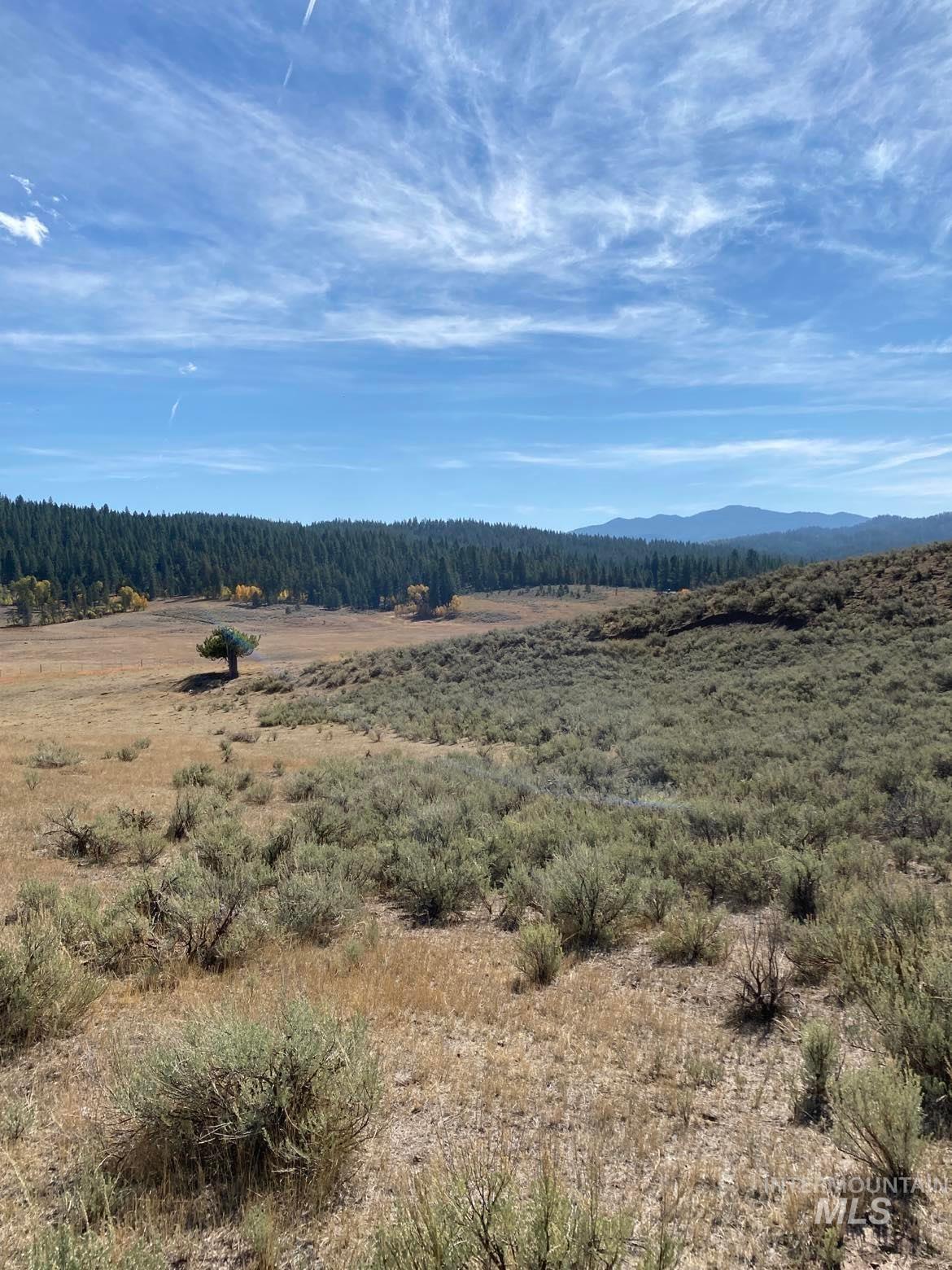 Tbd Lot 9 Empty Saddle Way Property Photo 14