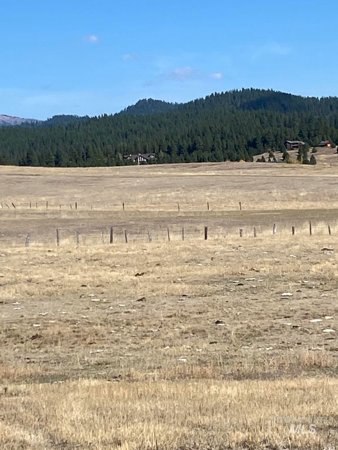 Tbd Lot 9 Empty Saddle Way Property Photo 15
