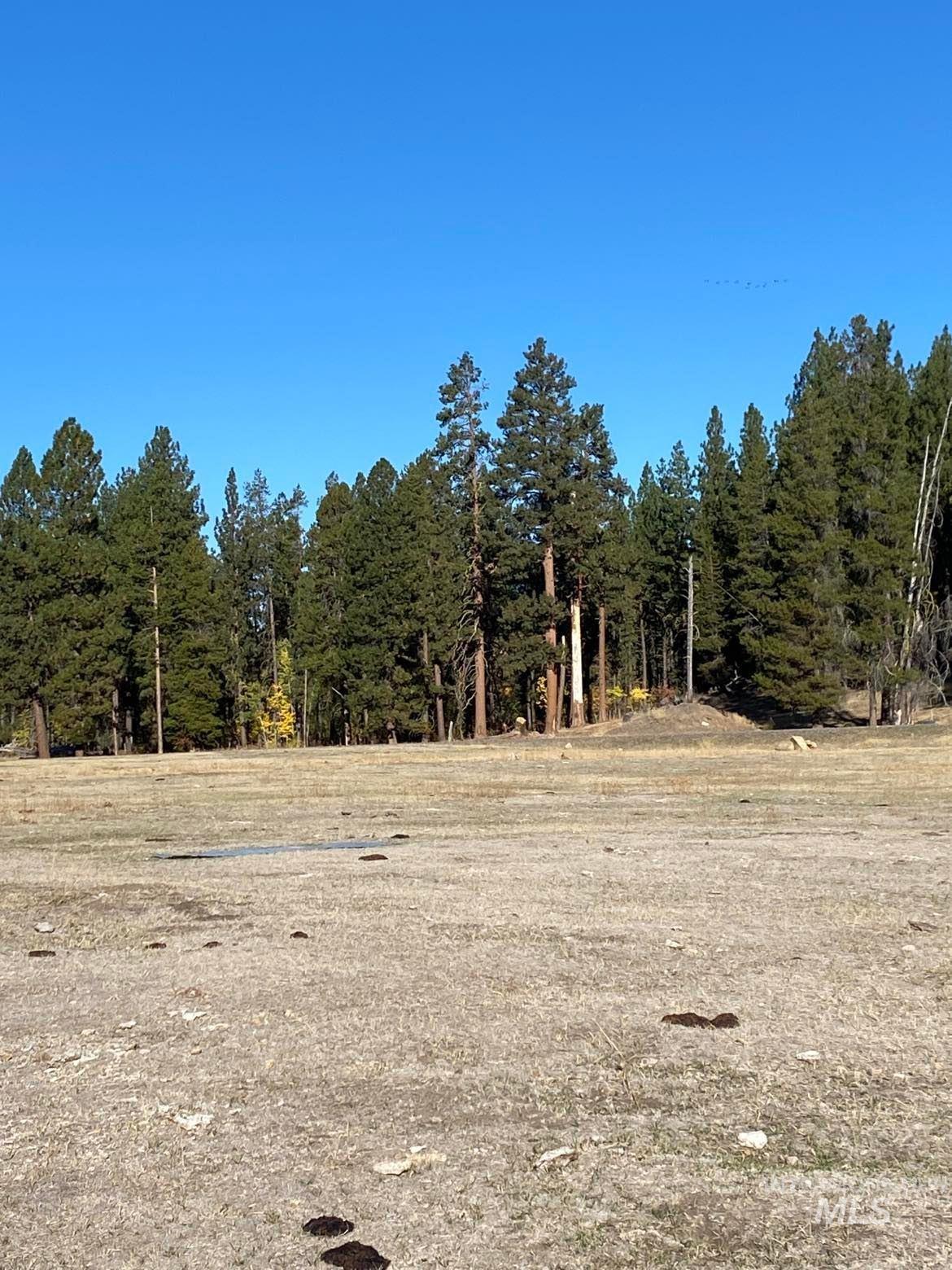 Tbd Lot 9 Empty Saddle Way Property Photo 17