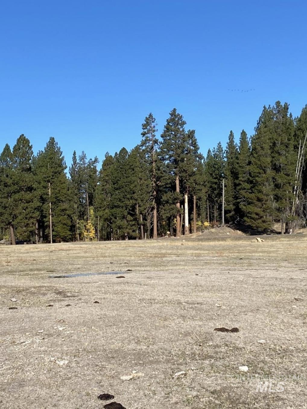 Tbd Lot 8 Empty Saddle Way Property Photo 8