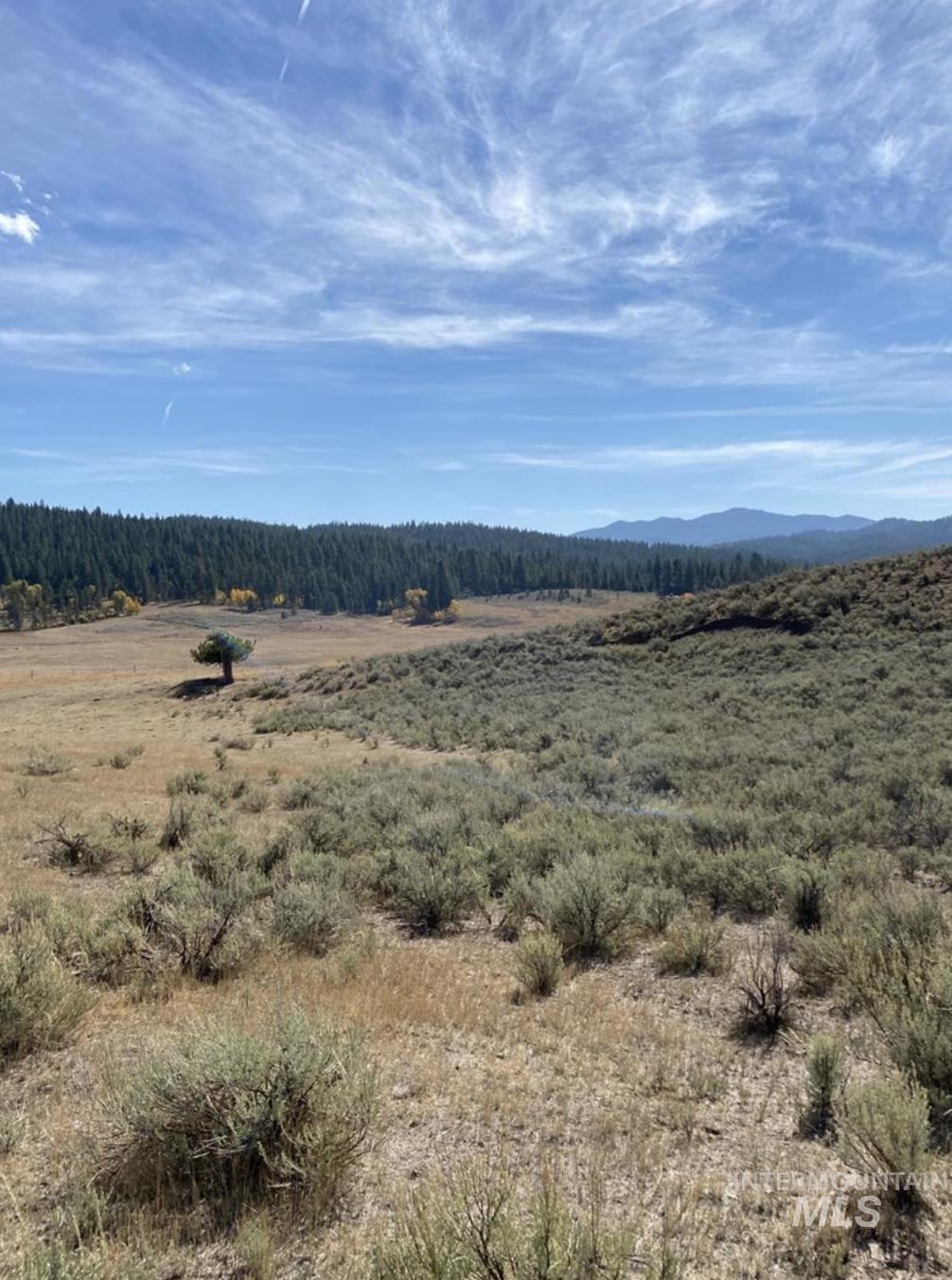 Tbd Lot 8 Empty Saddle Way Property Photo 19