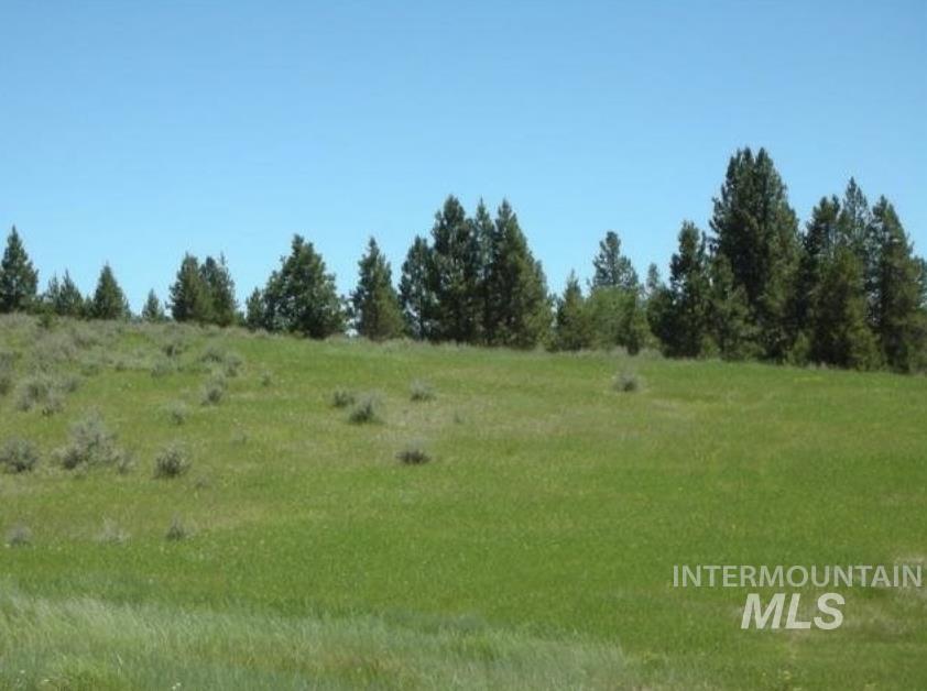 Tbd Lot 8 Empty Saddle Way Property Photo 24