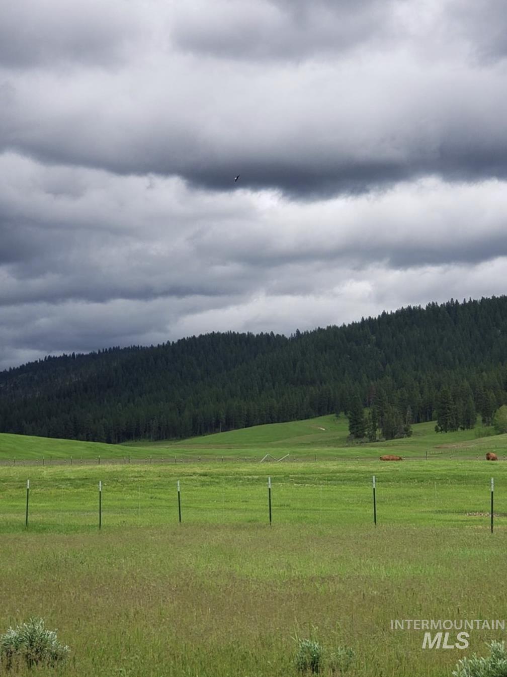 Tbd Lot 8 Empty Saddle Way Property Photo 27